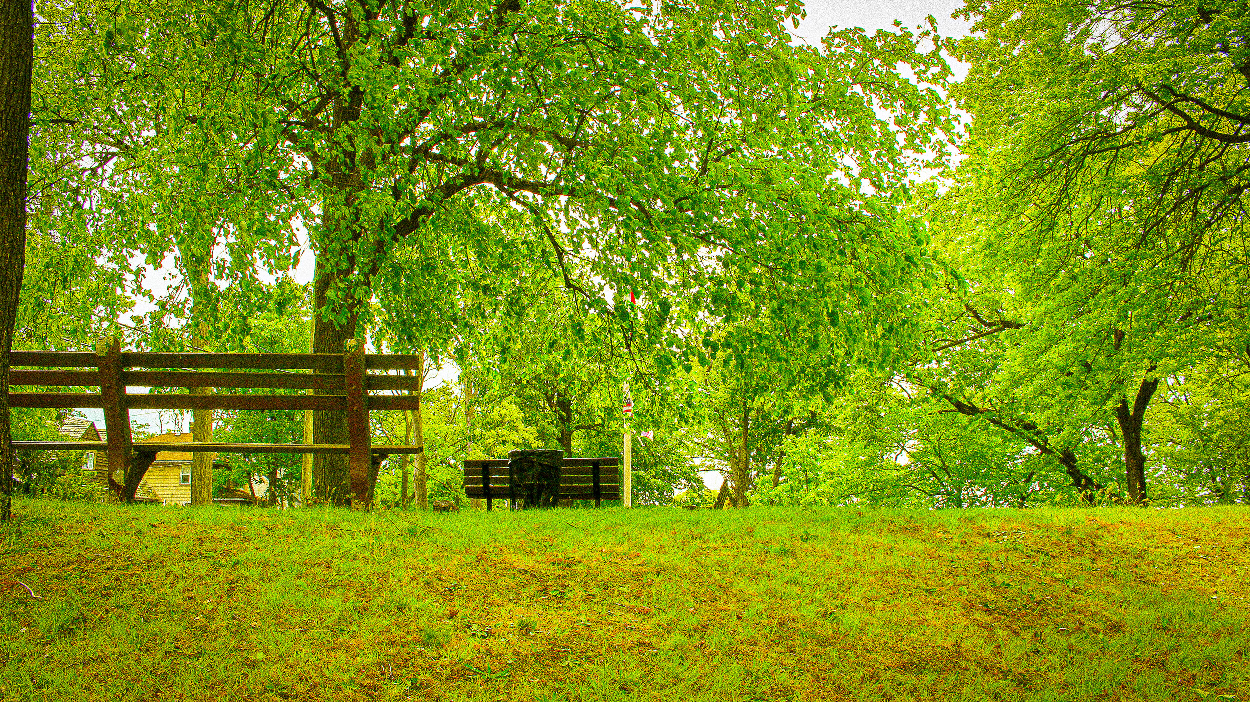 A Very Green Park