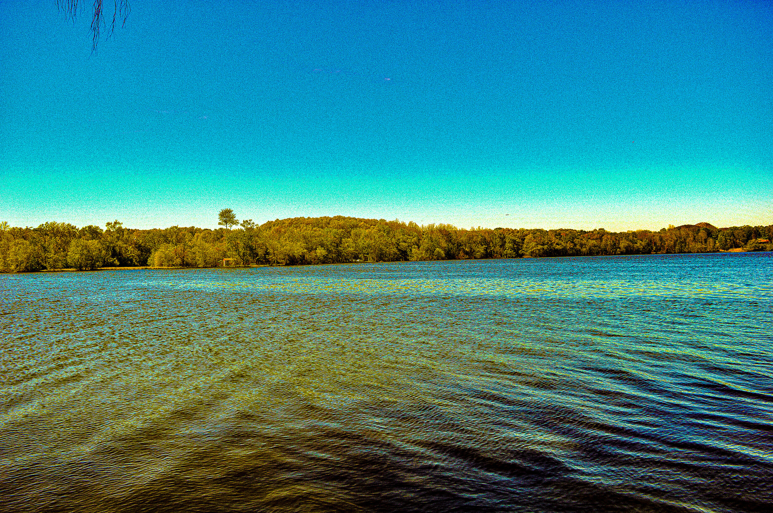 Golden Lake Wickham Woodlands