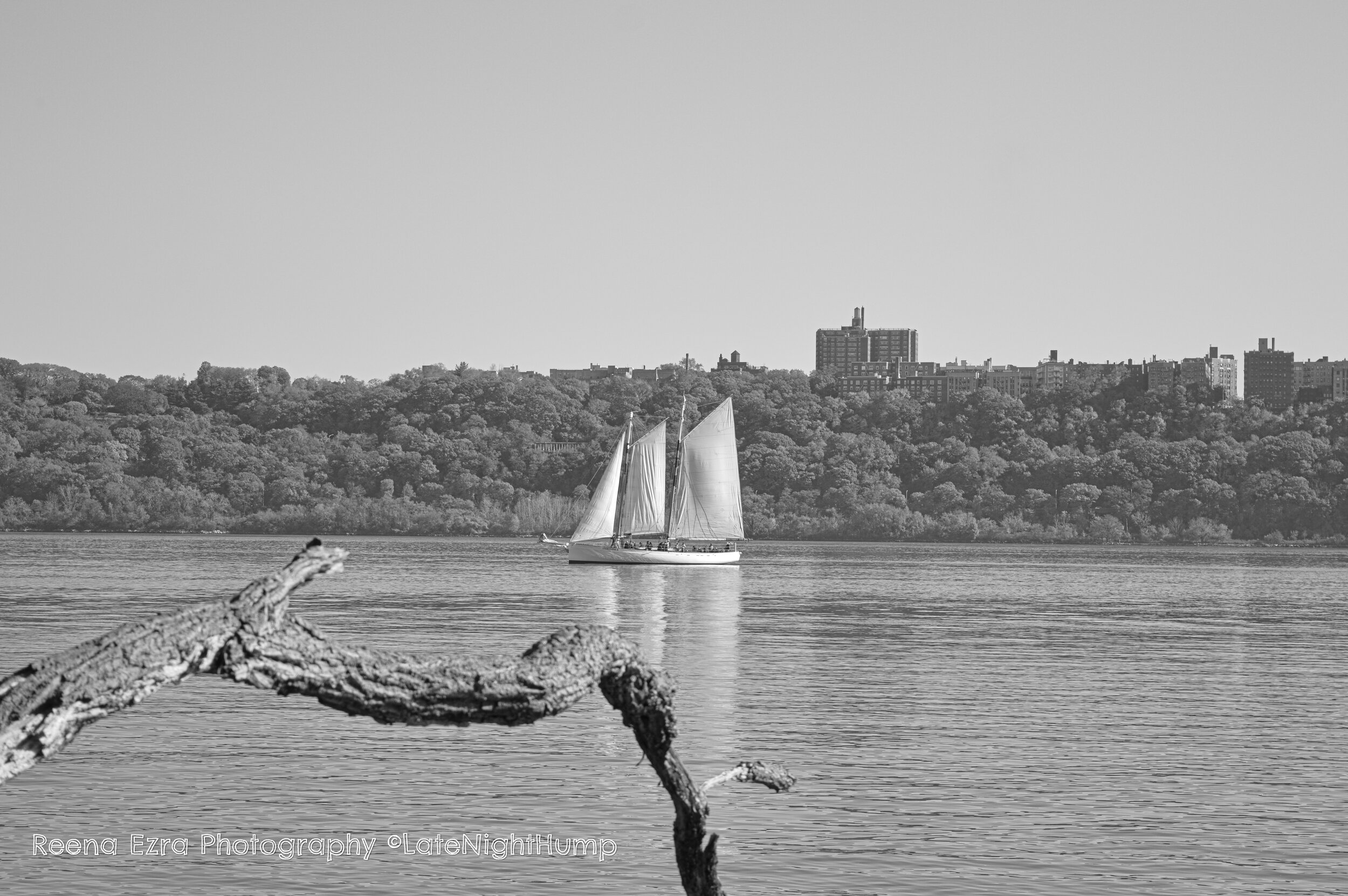 Sail In Black & White