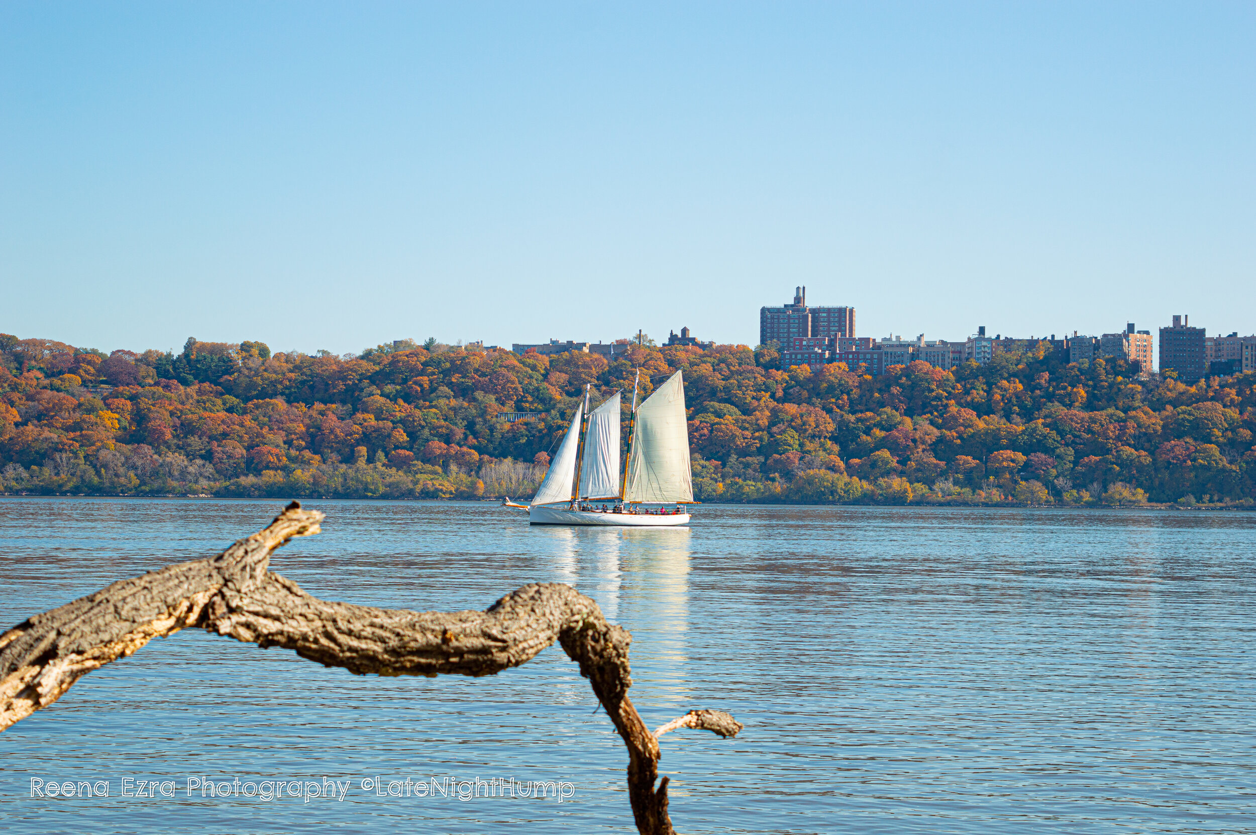 Sail In Color