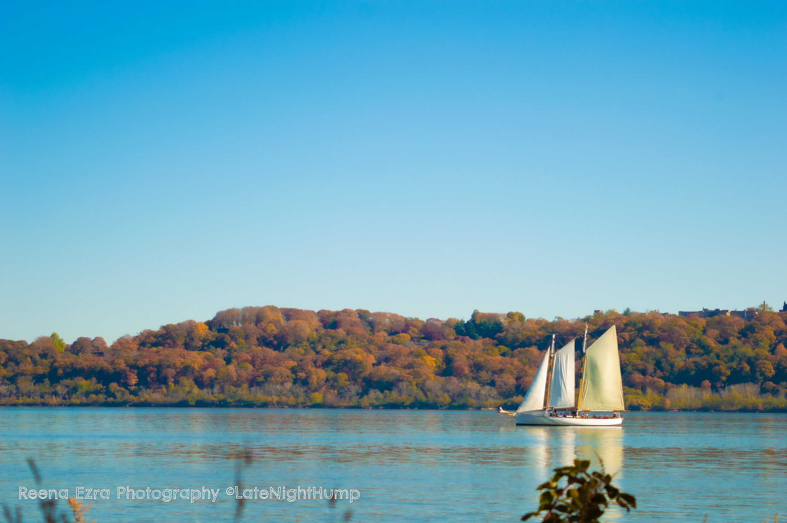 Sailboat In Color