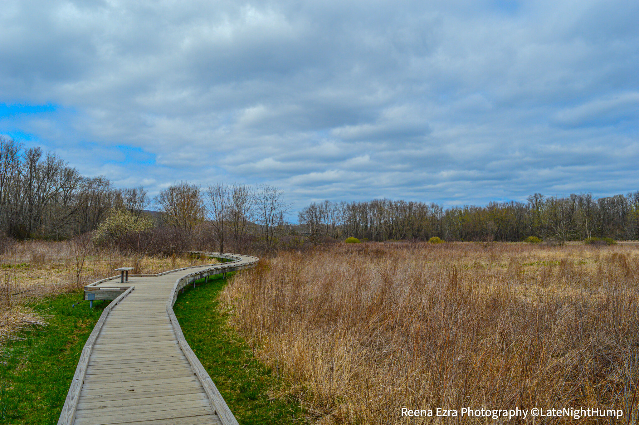 boardwalk1watermark.jpg