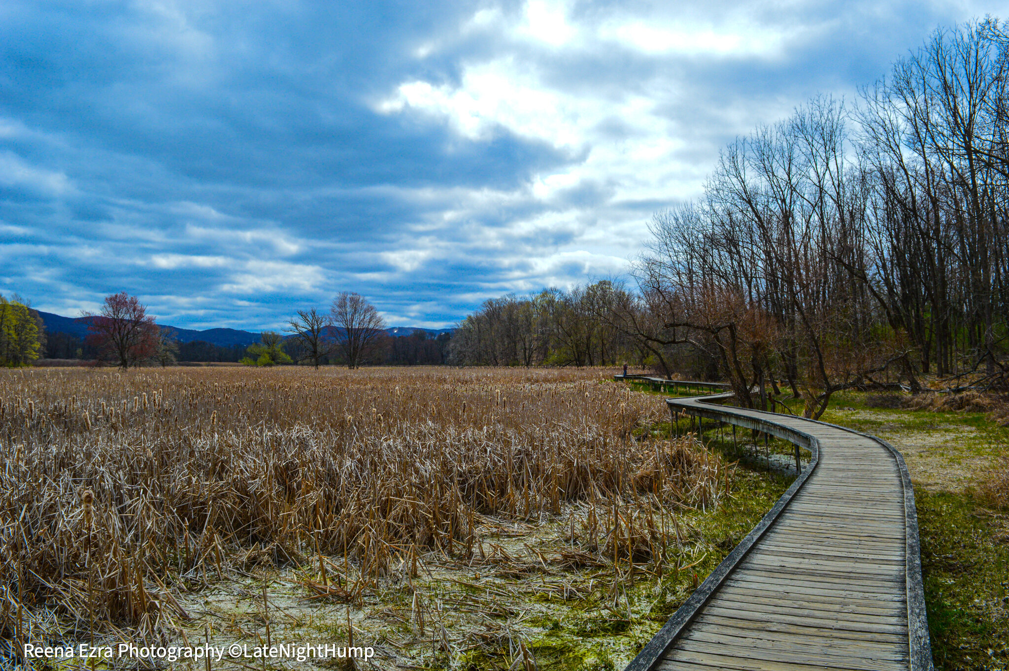 boardwalk4watermark.jpg