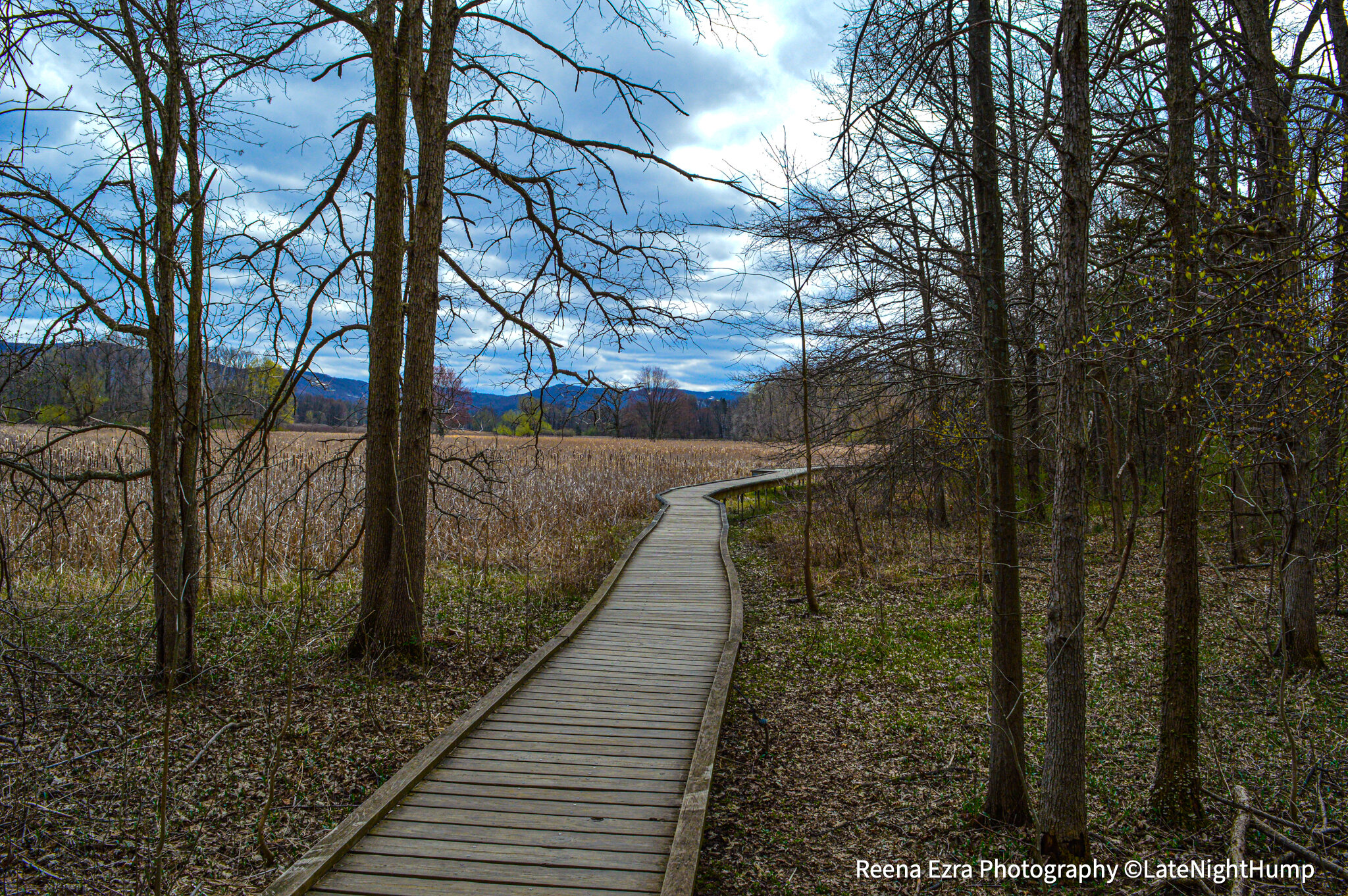 boardwalk3watermark.jpg