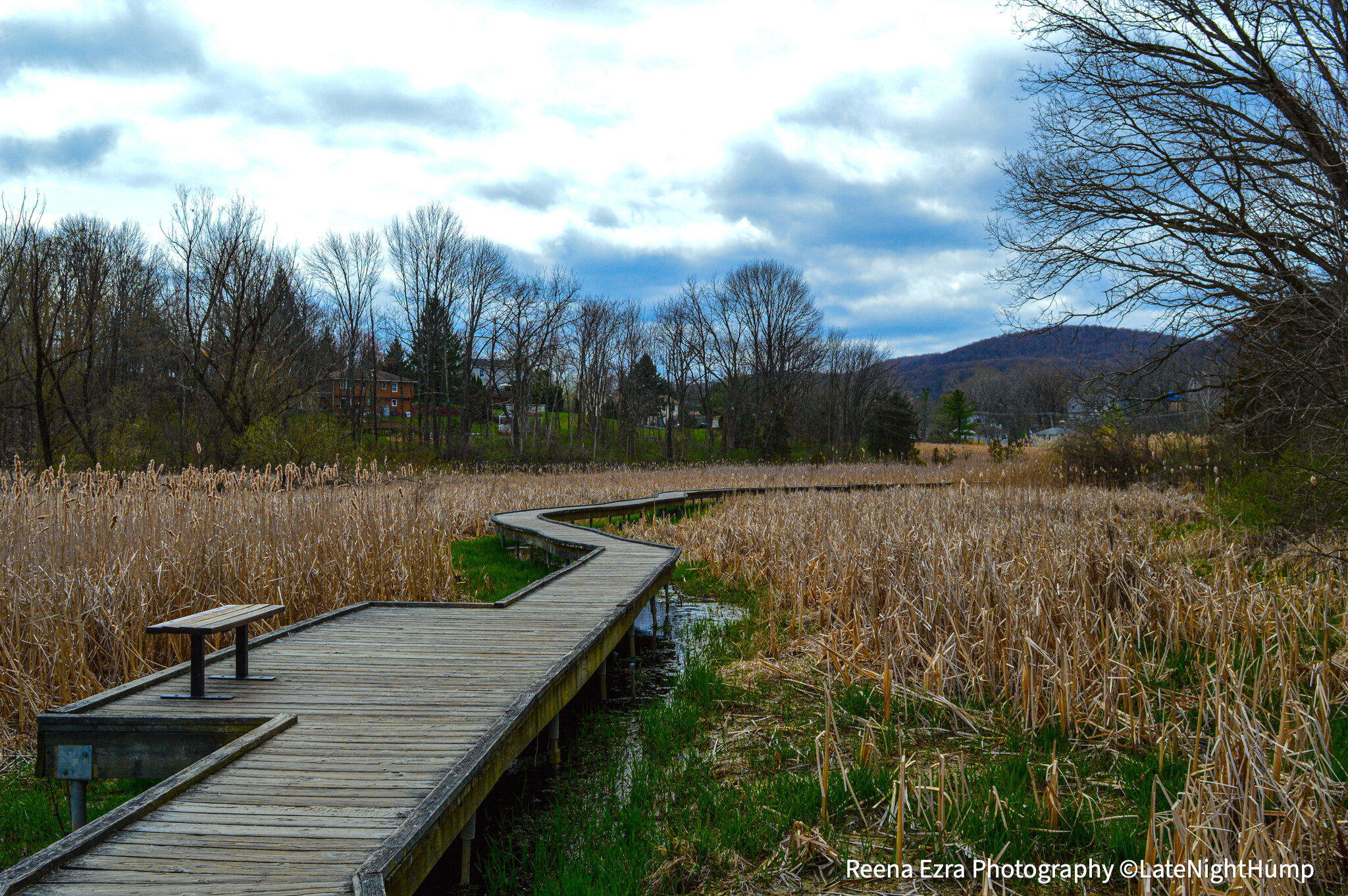 boardwalk6watermark.jpg