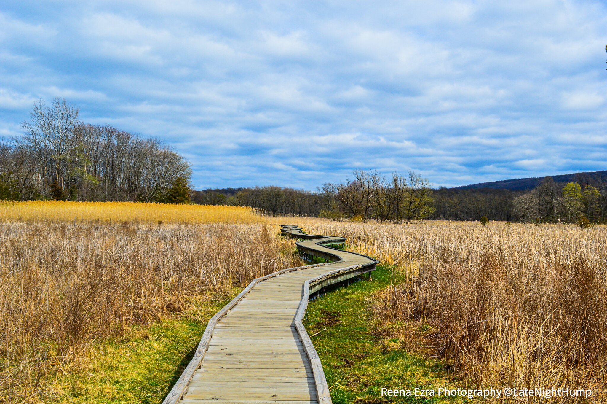 boardwalk7watermark.jpg