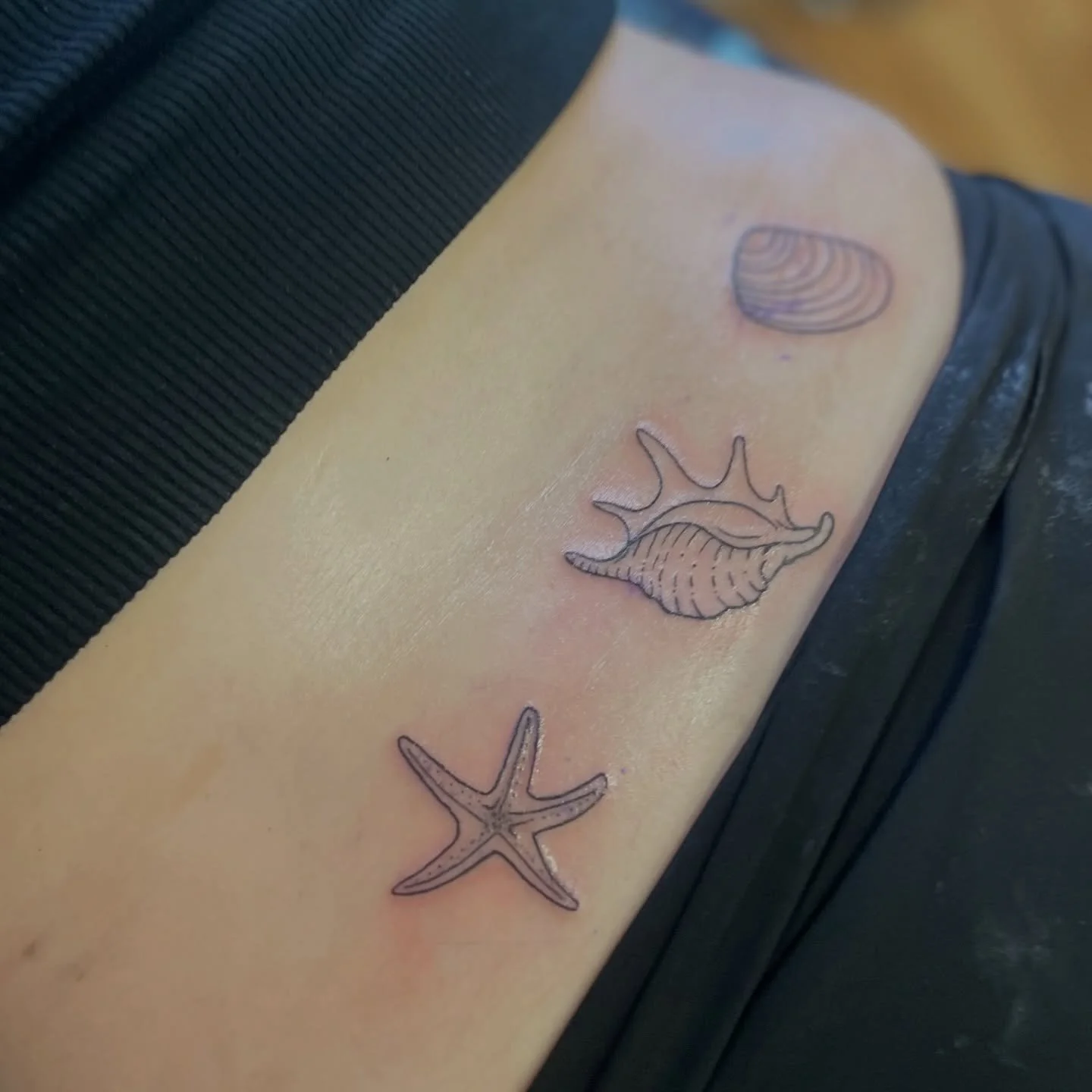 Some Fineline sea shells on the lower back - made 2 years ago in Perth Western Australia ✨🐚

Made by @williampjkitely DM for bookings or to discuss your ideas 🪄✨

#perthfineline #finelinetattoos #daintytattoos #perthtattooartist #perthtattoo