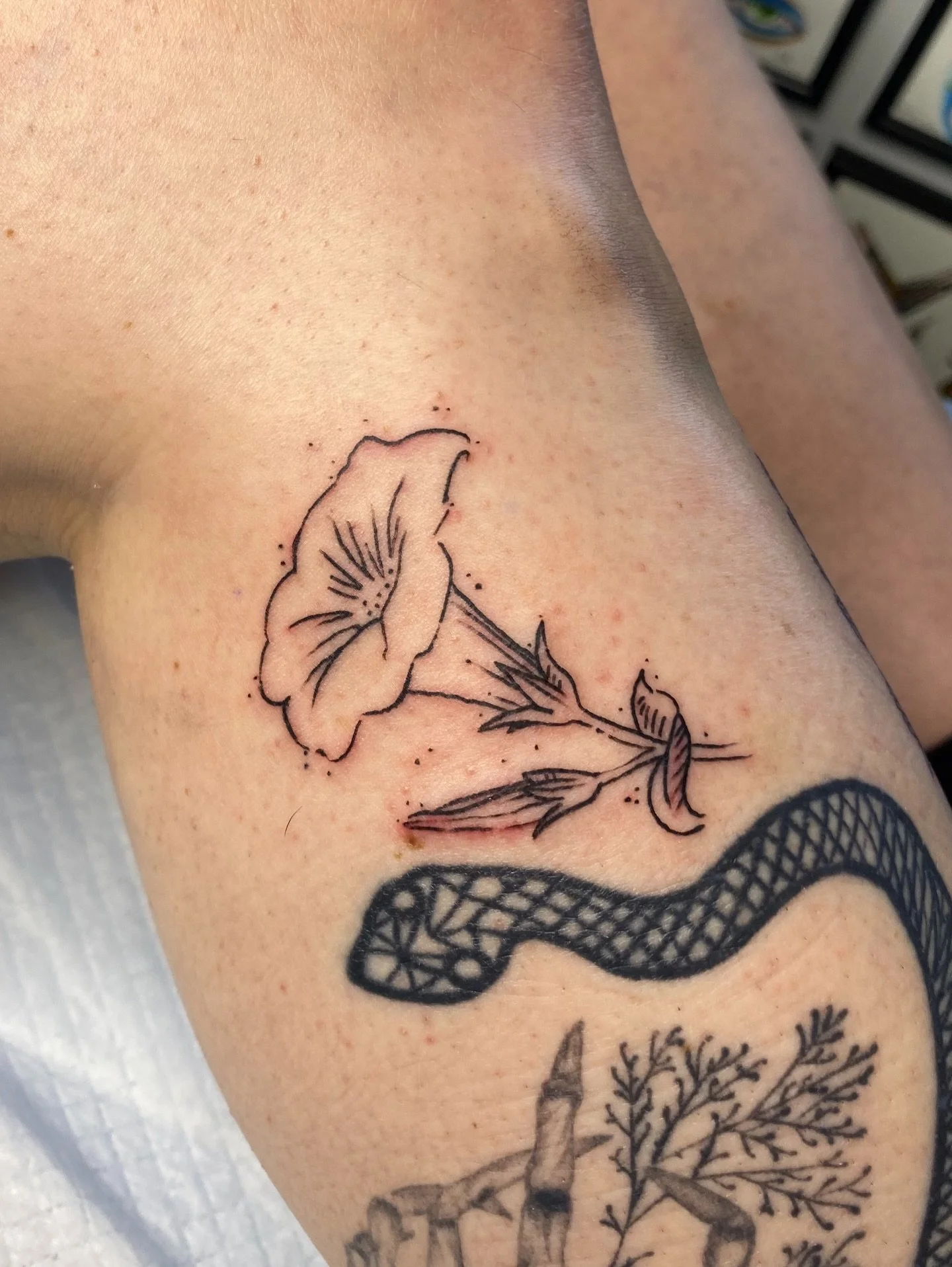 Floral illustration made for @amelia.sprout from her friends drawing 😇😇 @williampjkitely 

#perthtattoo #perthtattooartists #minimalisttattoo #perthfinelinetattoo #perthfinelineartist