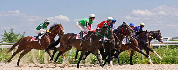 Melbourne Cup 2019