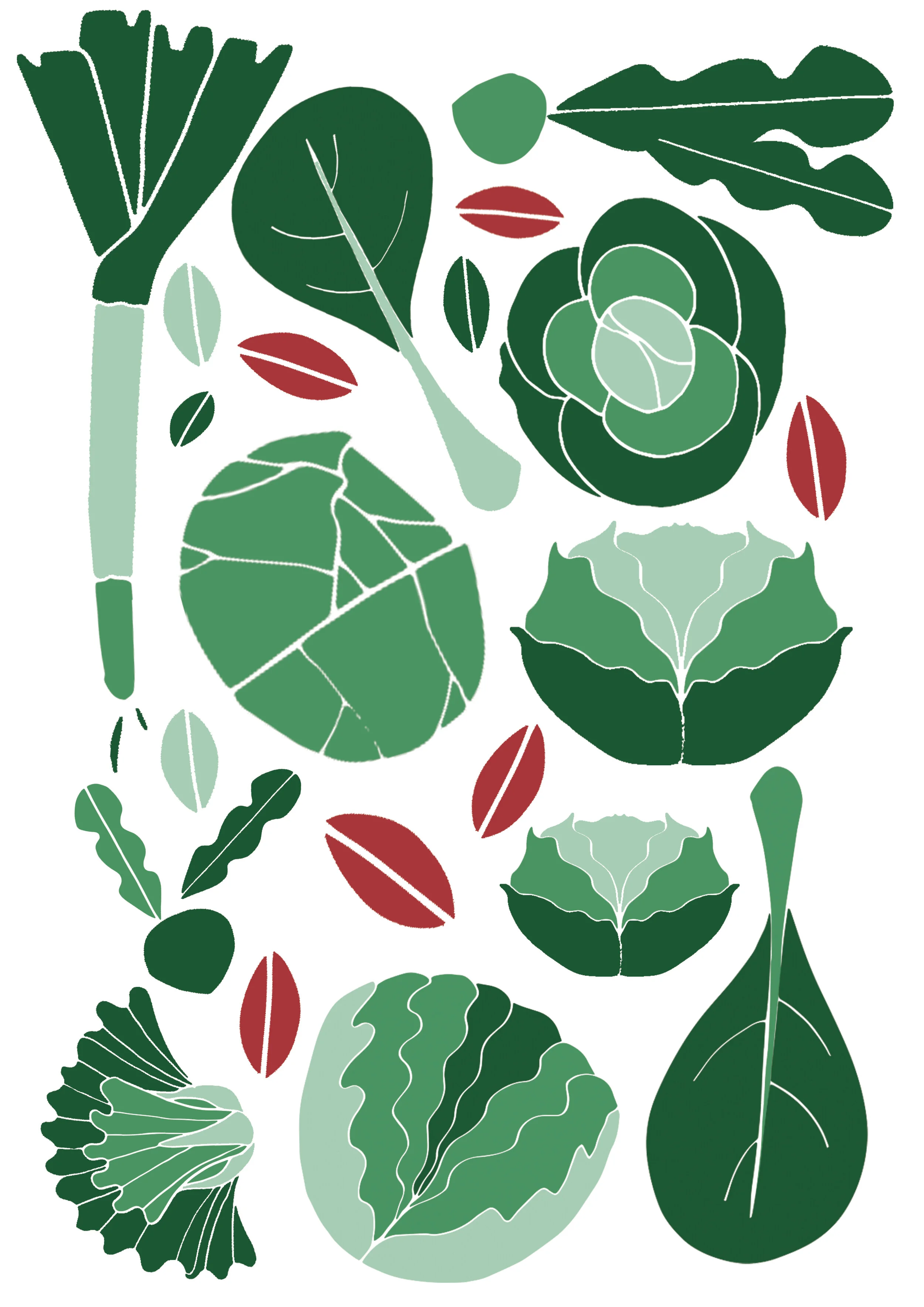 CORNUCOPIA WEB no square.jpg