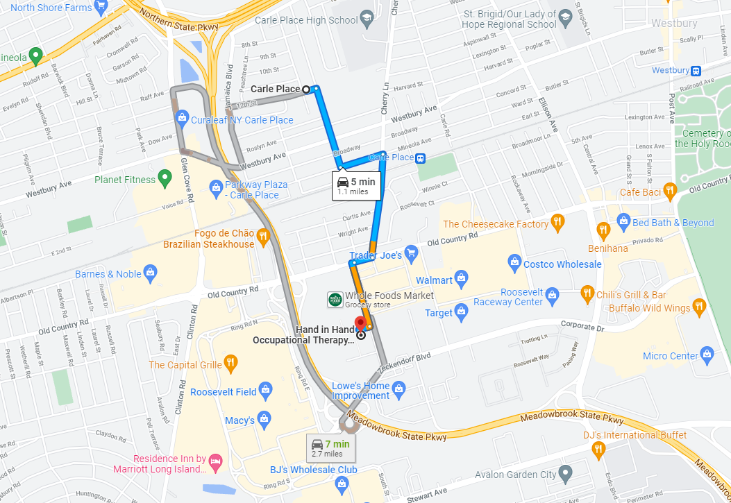 Certified Hand Therapist Near Carle Place