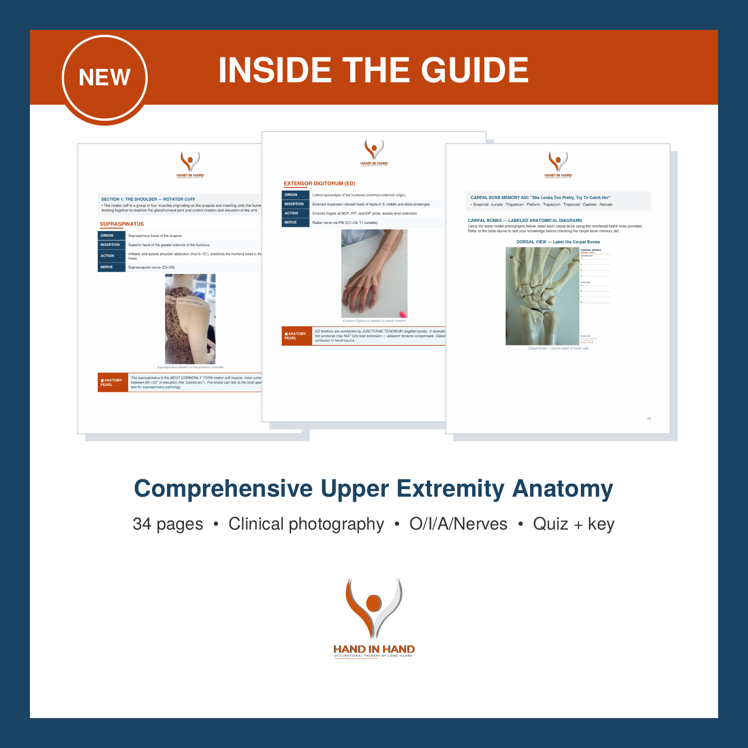 UE_Anatomy_Thumbnail_2.png