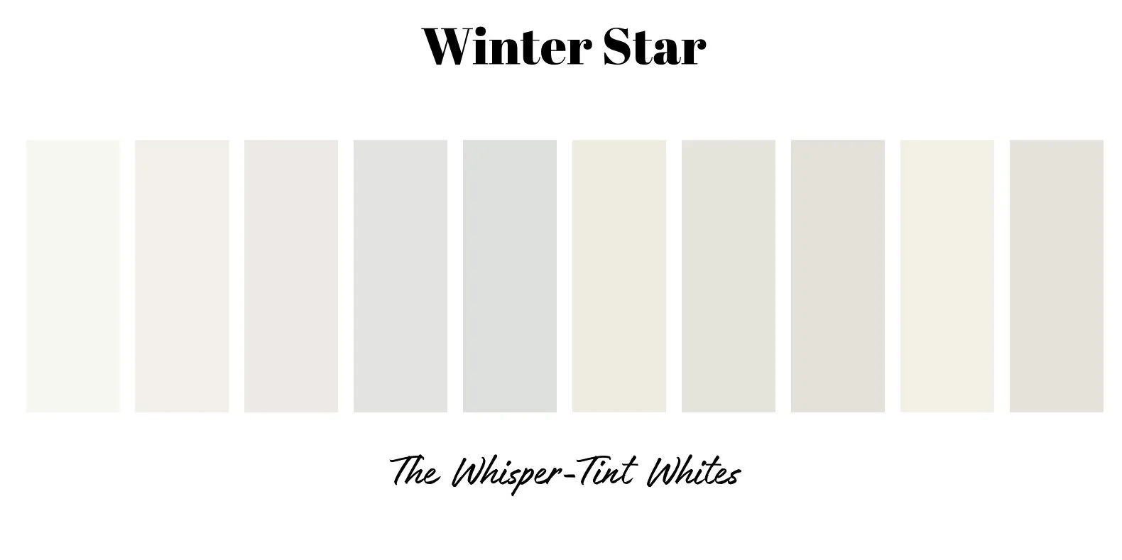 WINTER STAR PALETTE