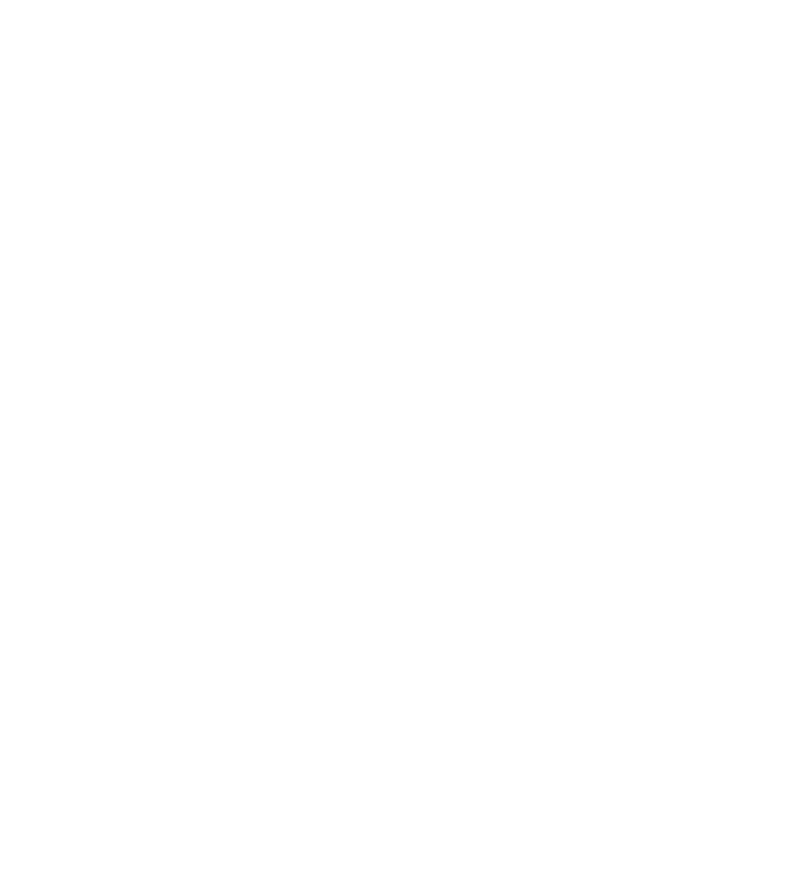 COMMUNITY LIFE APOSTOLICS