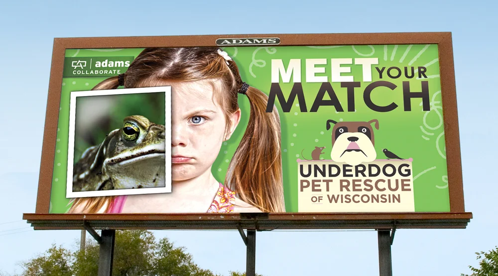 Underdog_Collaborate_PosterMockup_Frog.jpg