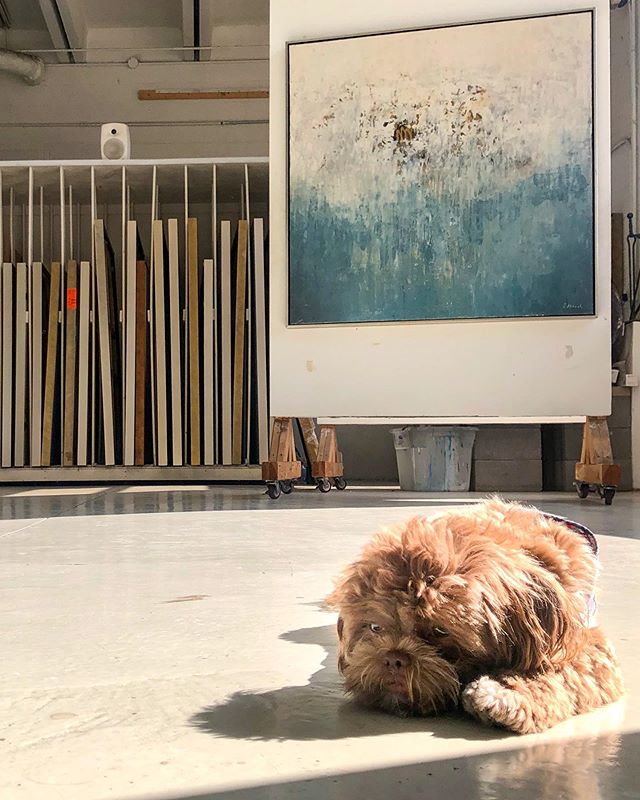 Everyone is excited that Autumn is finally here!! #shihtzu #artstudio