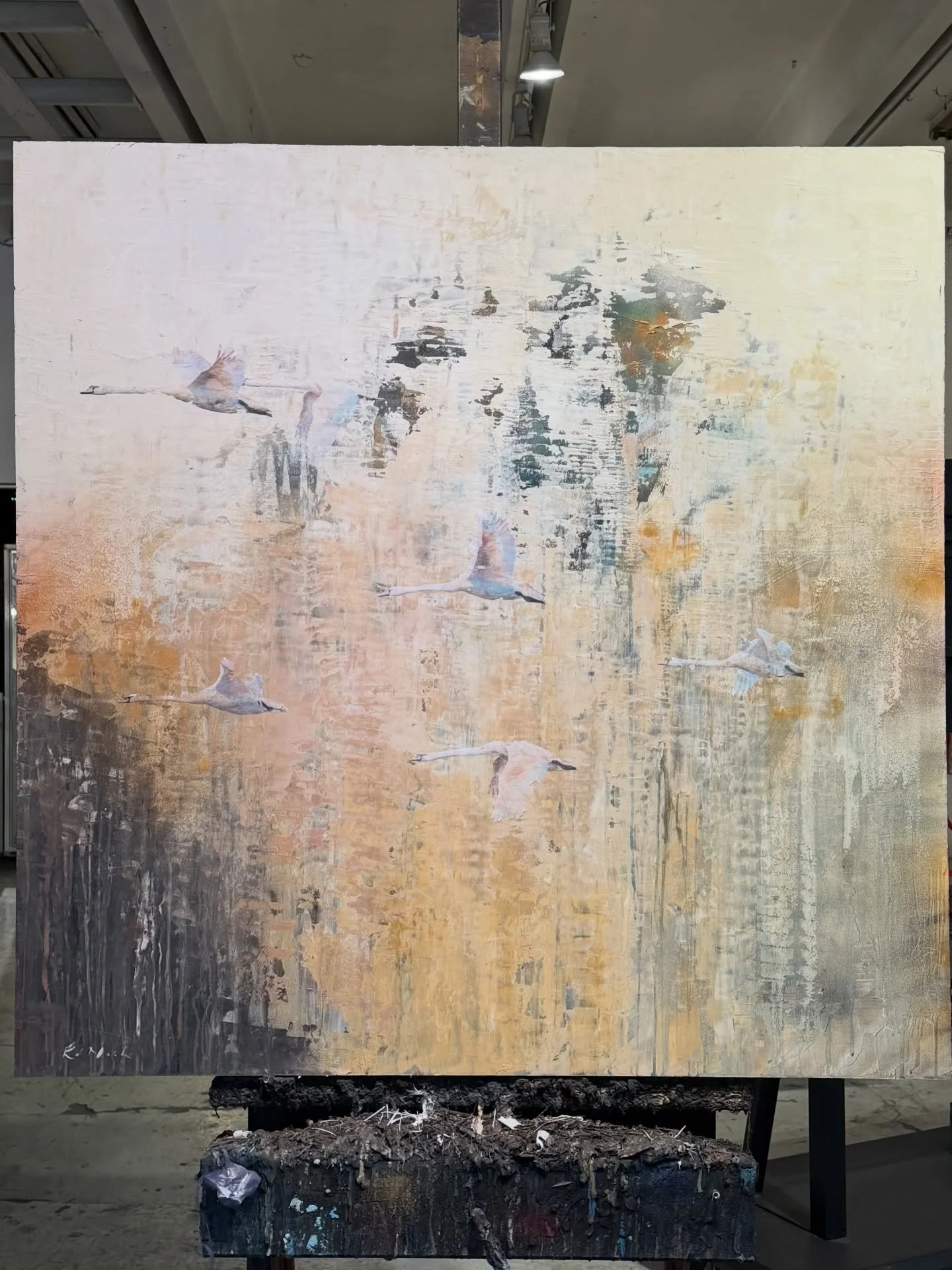 &lsquo;Flying south&rsquo; escaping the cold