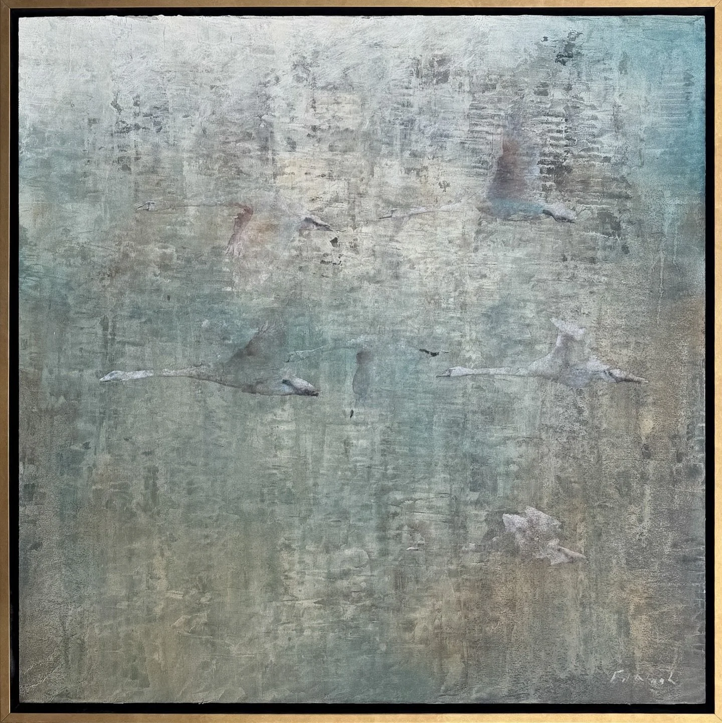 Early morning flight&hellip;&rsquo;Bevy&rsquo; 30 x 30&rdquo; #swansinflight #swans