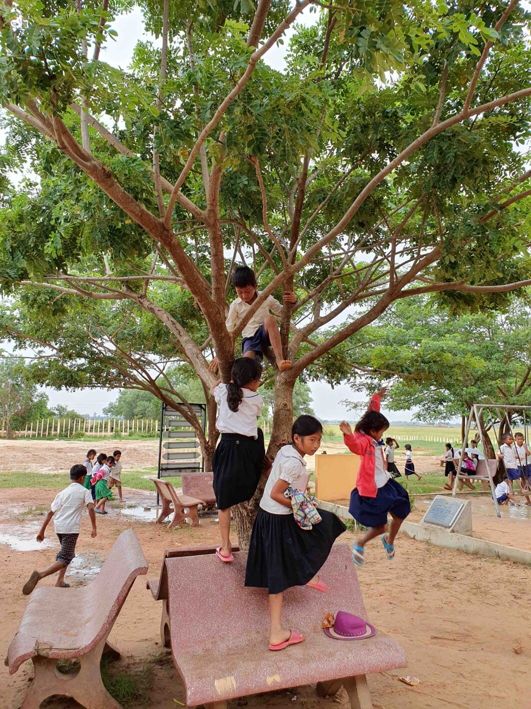 schoolgirls-tree-climbing-mount-waverley-rotary.jpg