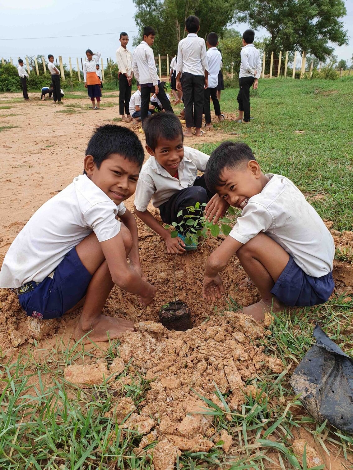 schoolboys-tree-planting-mount-waverley-rotary.jpg