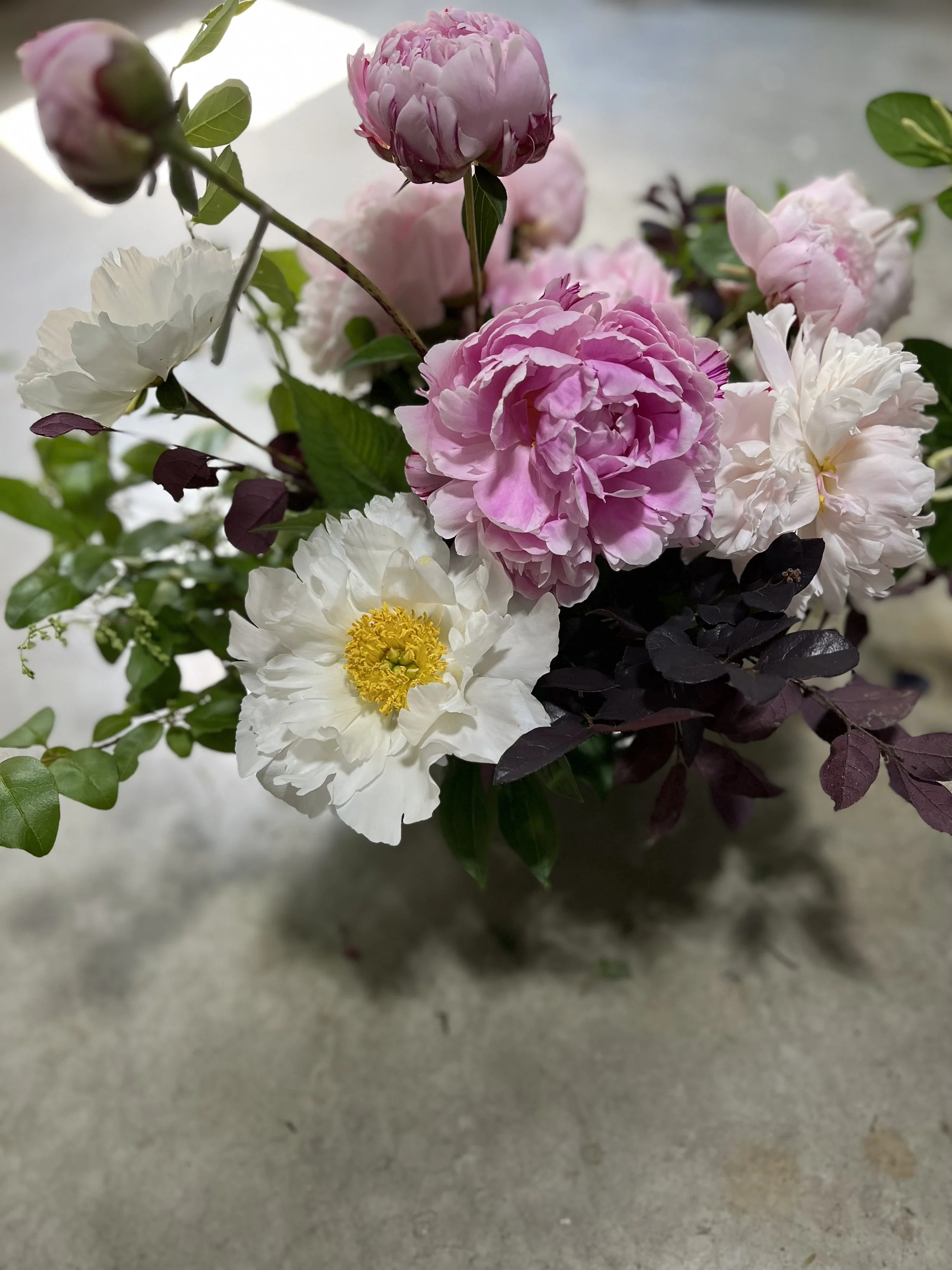 IMG_9095.jpeg