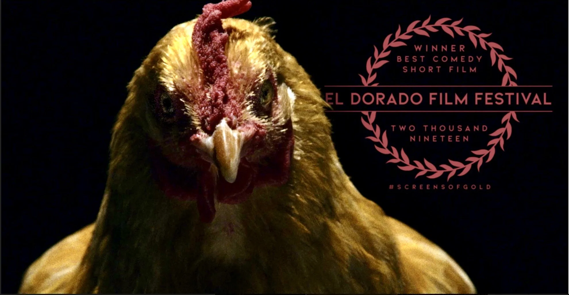 MY DINNER WITH WERNER wins Best Comedy at El Dorado Film Festival