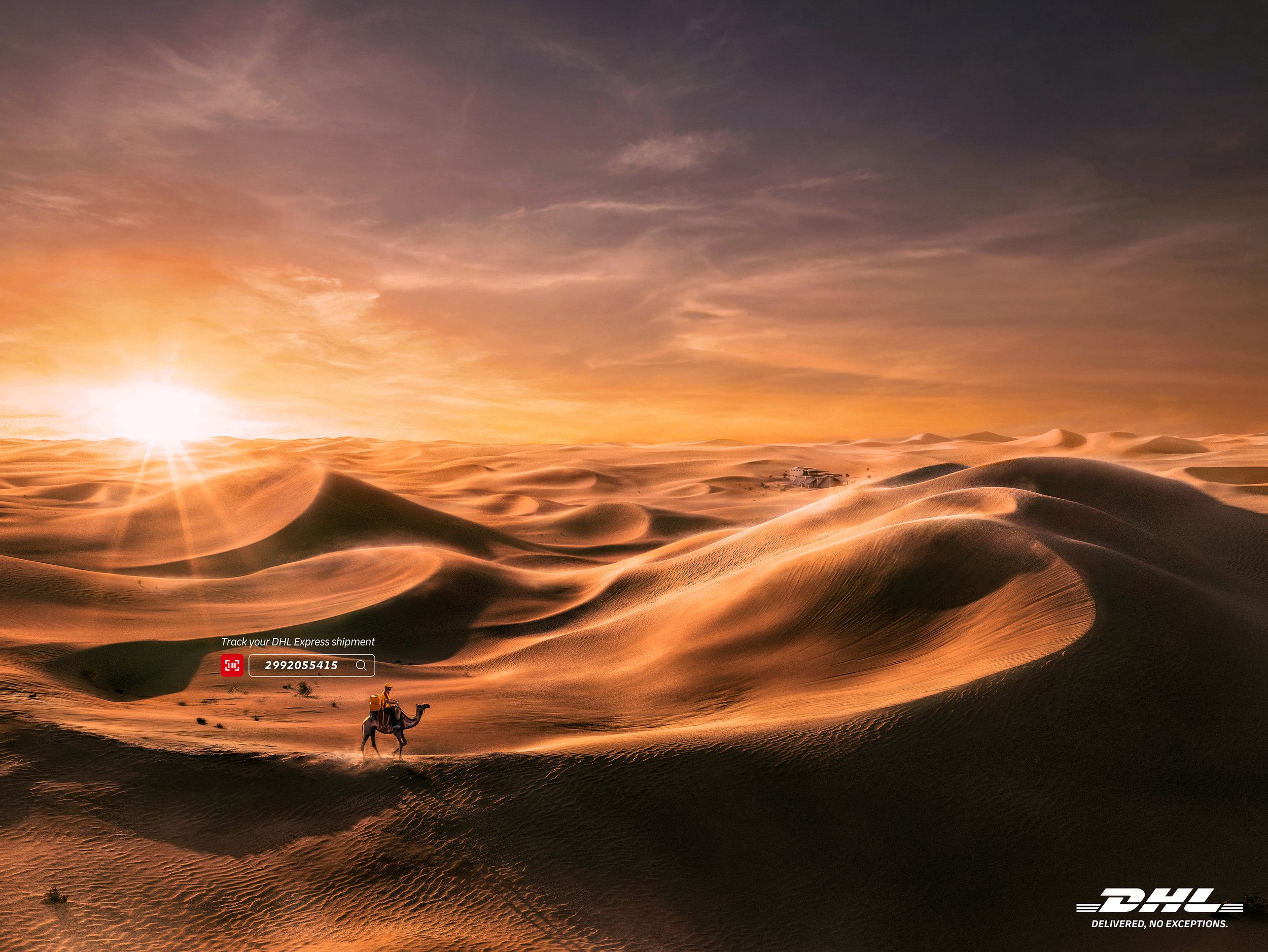 Camel_Desert_Cannes.jpg