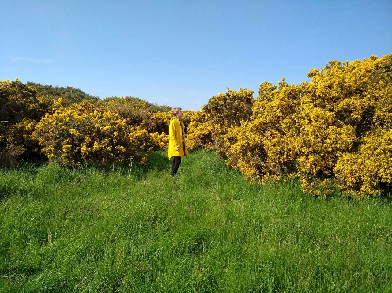 Dating in St Andrews: inspiration for all the seasons