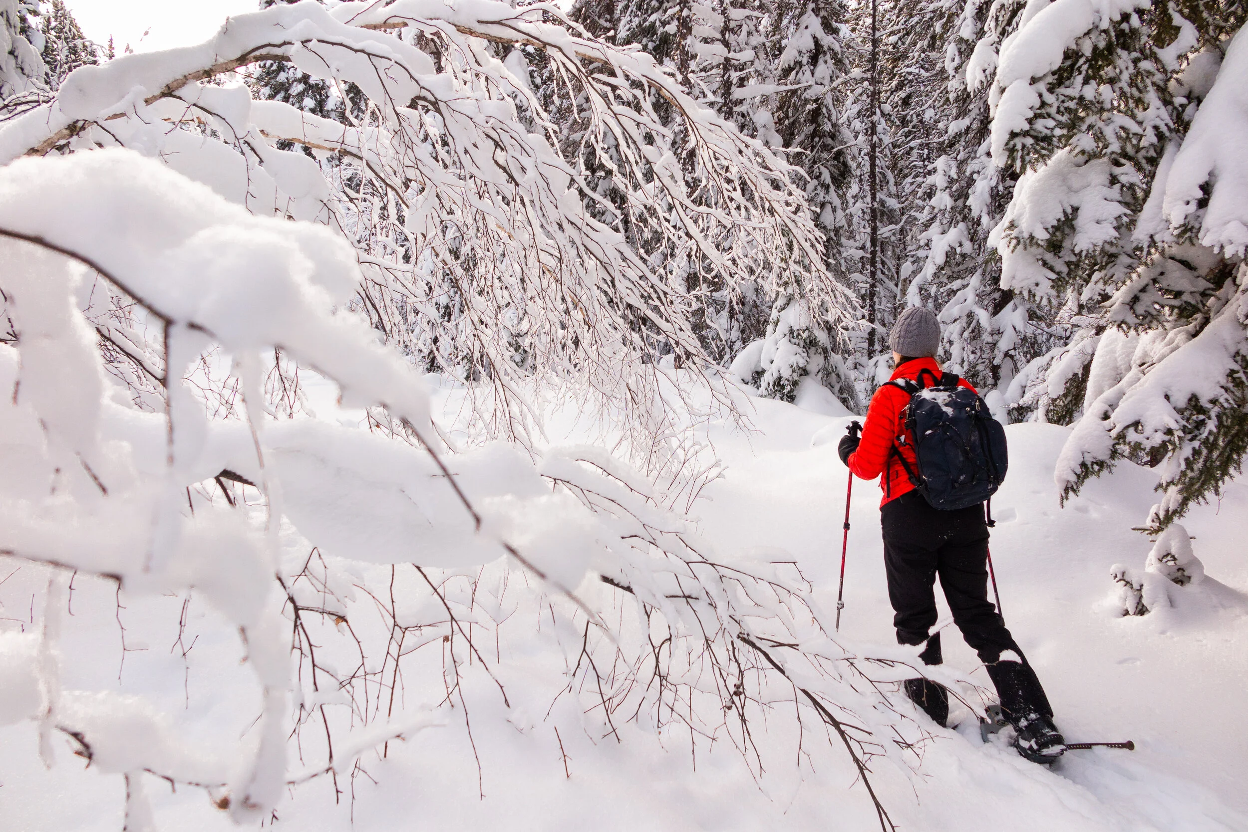 Last Weekend of the Season is March 3 and 4!