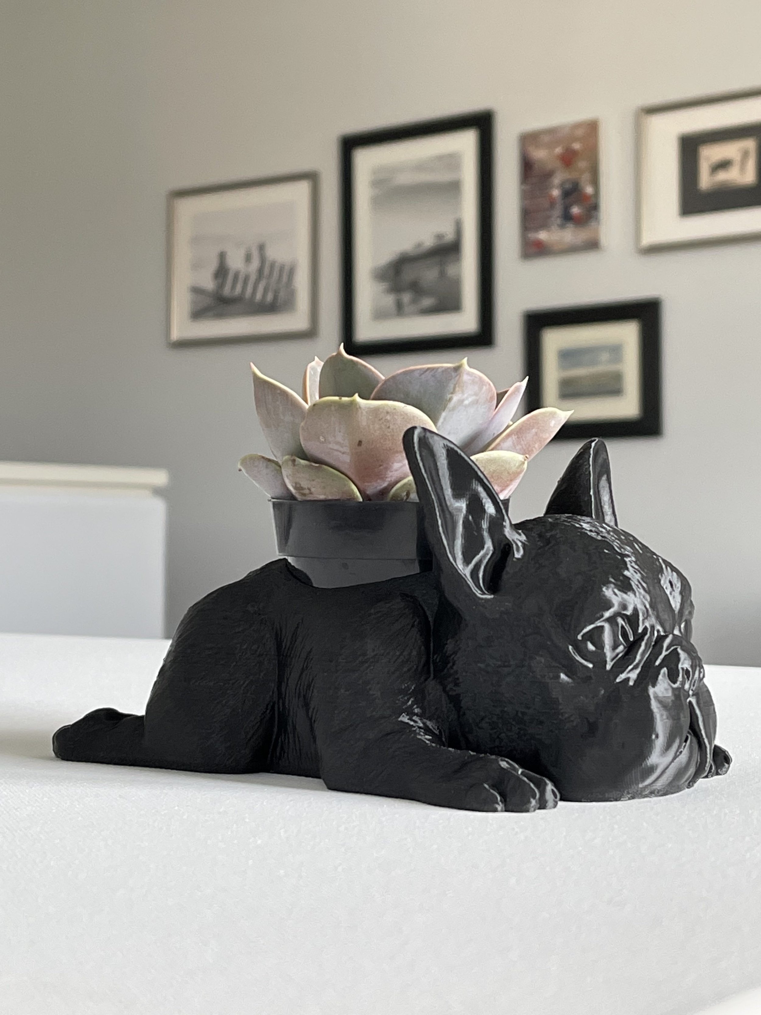 french bulldog planter