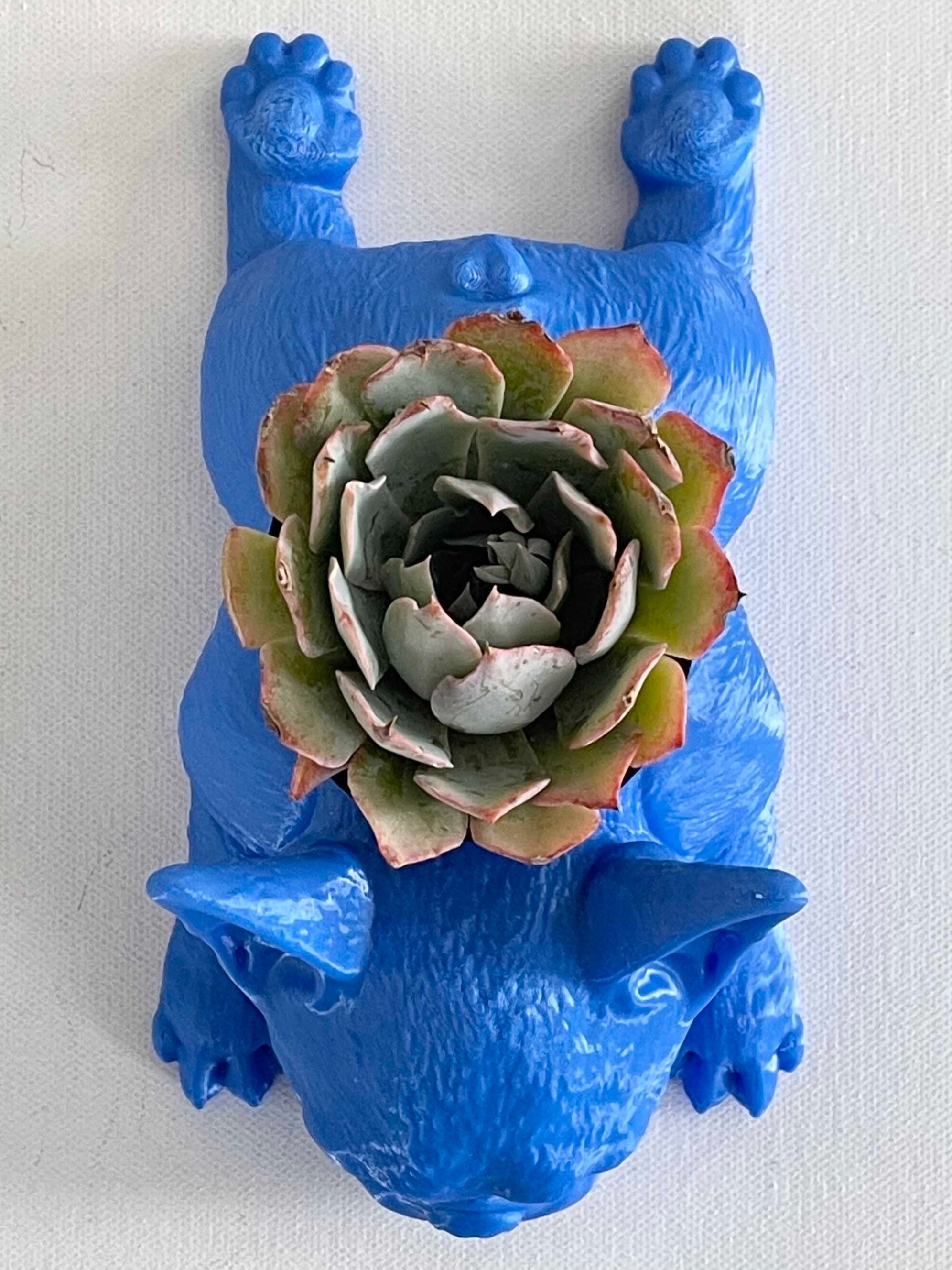 French Bulldog blue planter with plants