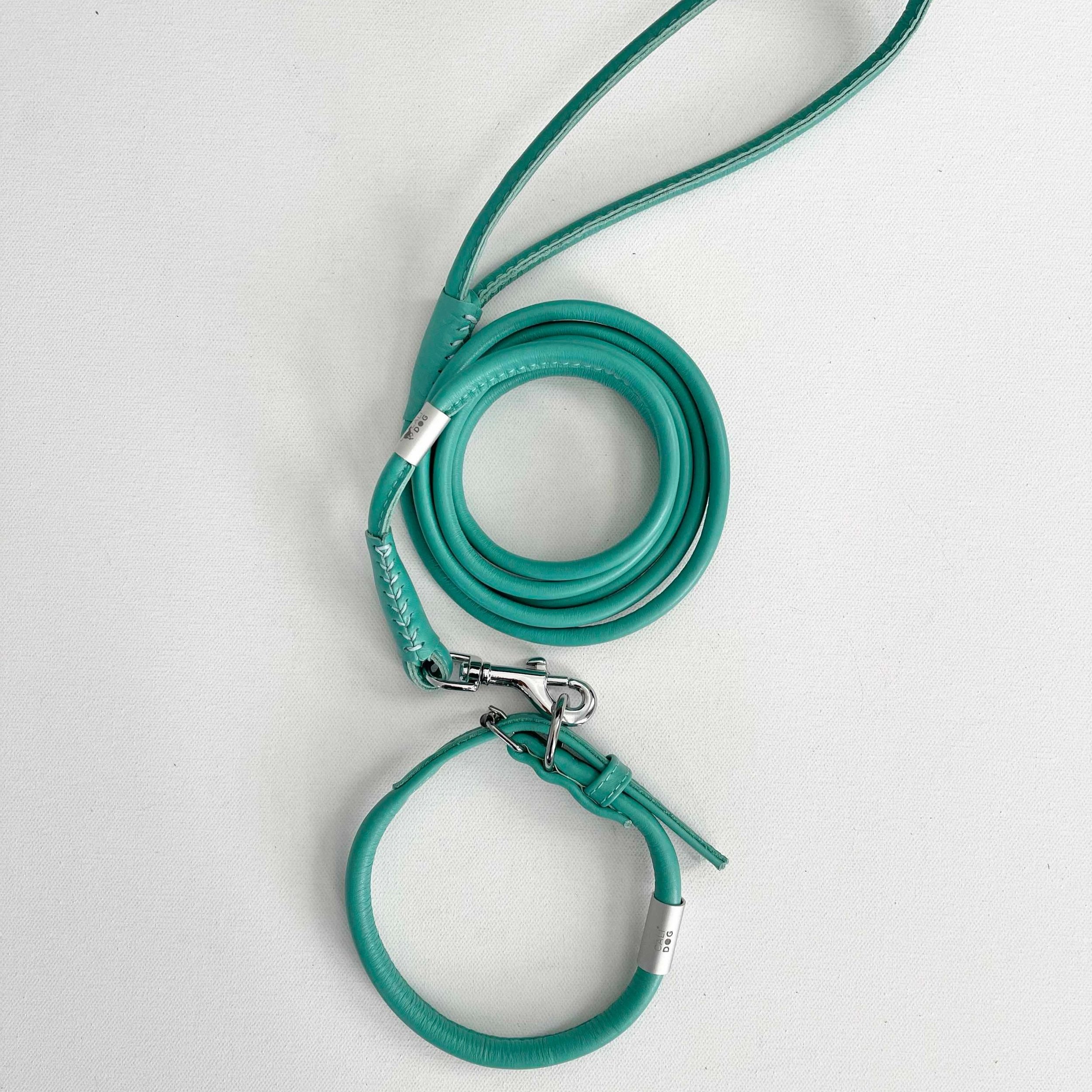 mint leather dog collar and leash set