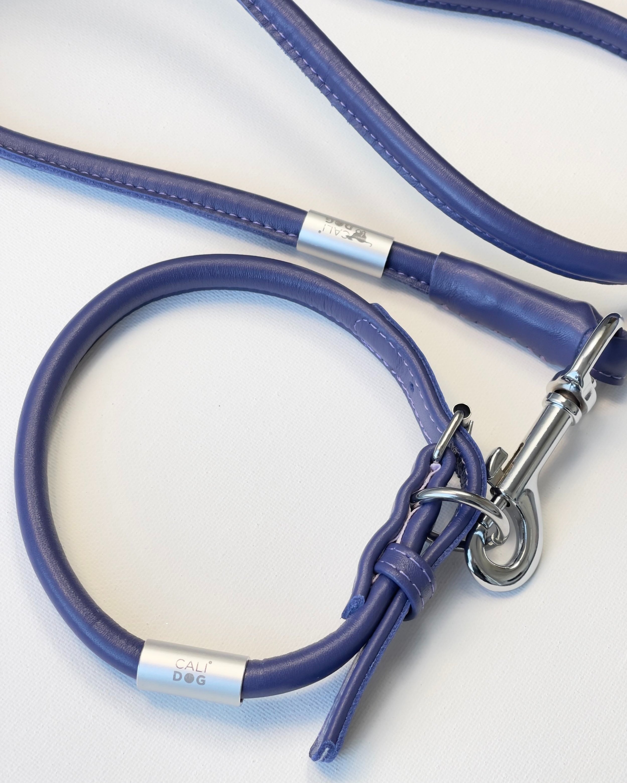 purple fancy dog collar and leash set