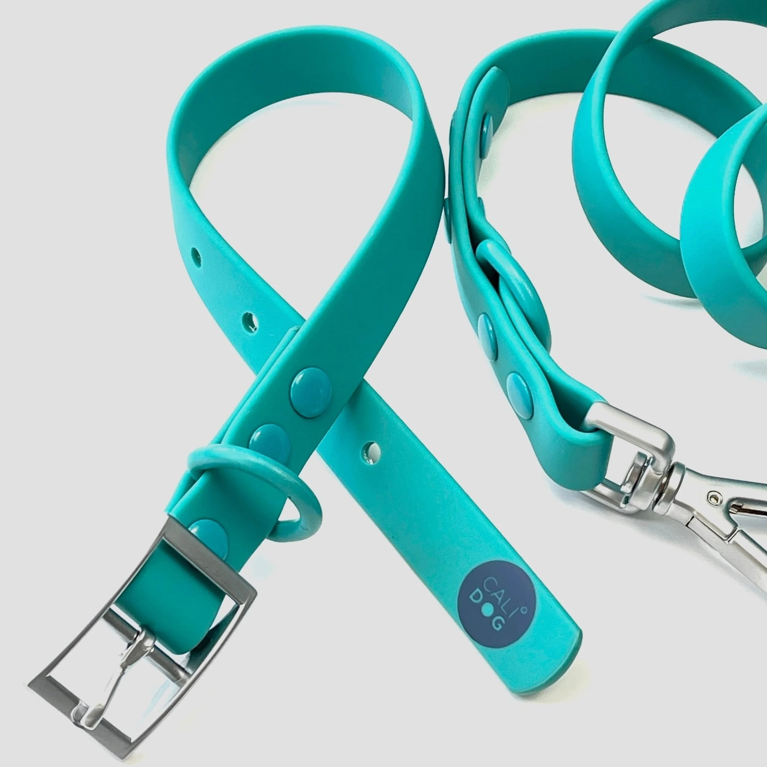 teal waterproof dog collar and leash set