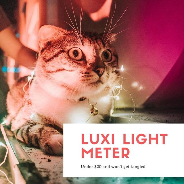 Have you used your iPhone as a light meter? Order Luxi and you can. It's as much fun as a well-lit cat. 
#lightmeter #luxiforall #photographytools #photographyschool #photographers #catsofinstragram #cats