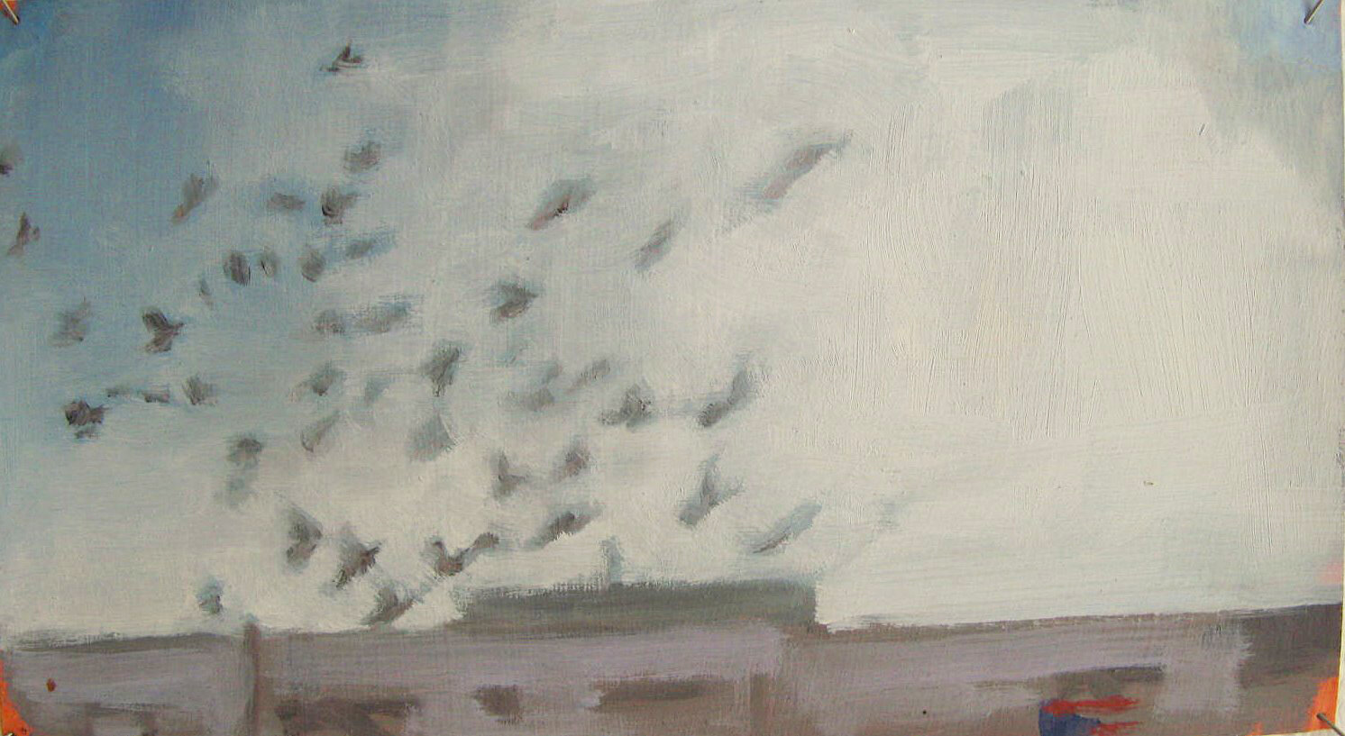 New York Birds