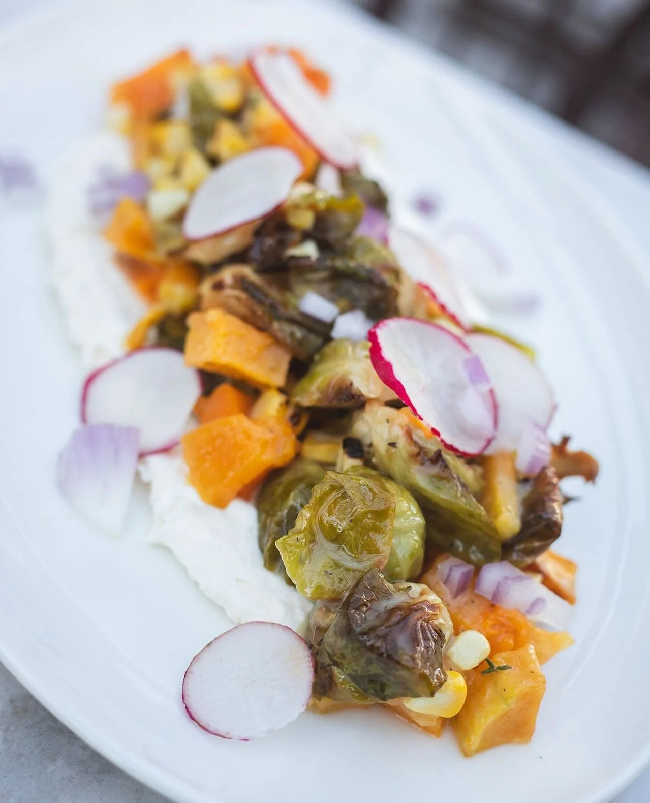 ROASTED BUTTERNUT & BRUSSELS SALAD
whipped ricotta, grilled corn, red onion, radish, lemon honey and thyme vinaigrette
Available for a limited time in Worcester and Wellesley