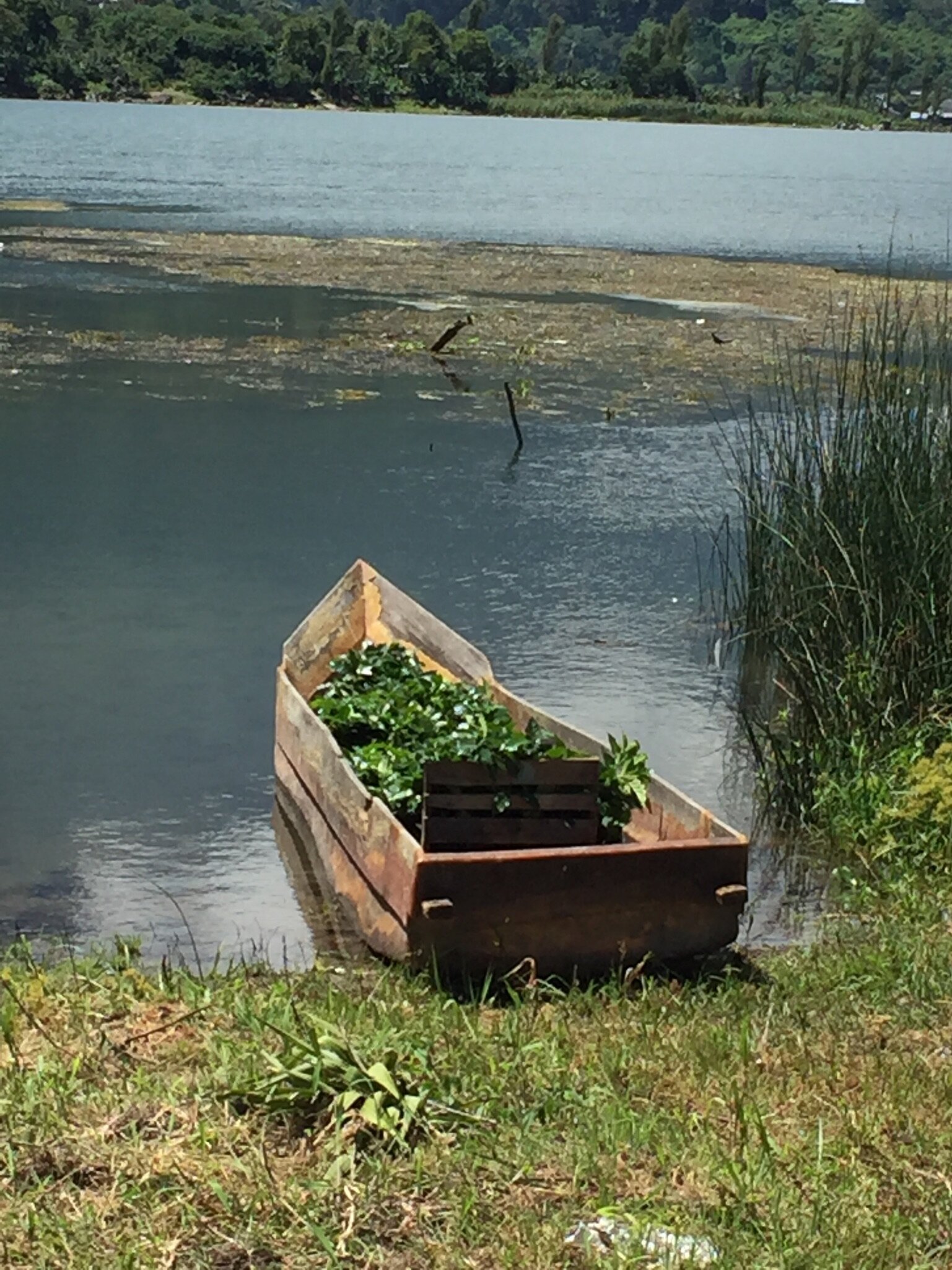DANIS BOAT.JPG