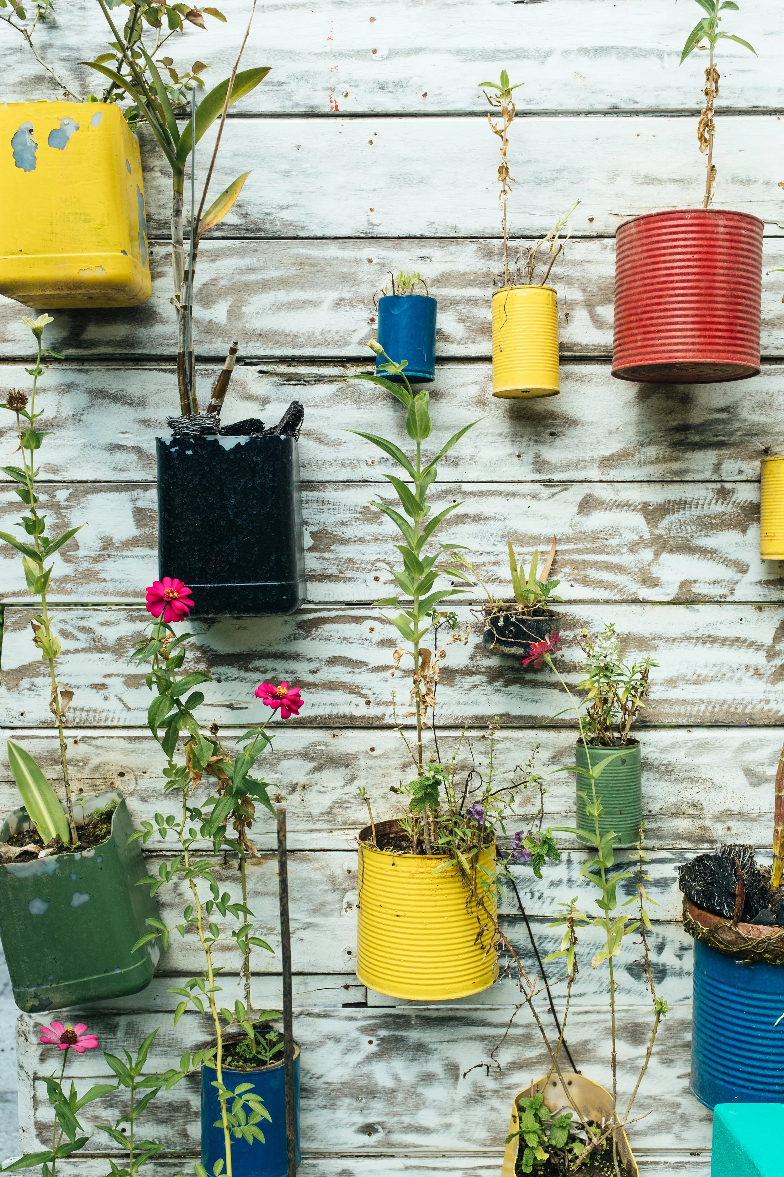 Lent: Plants, Bodies, and Jesus