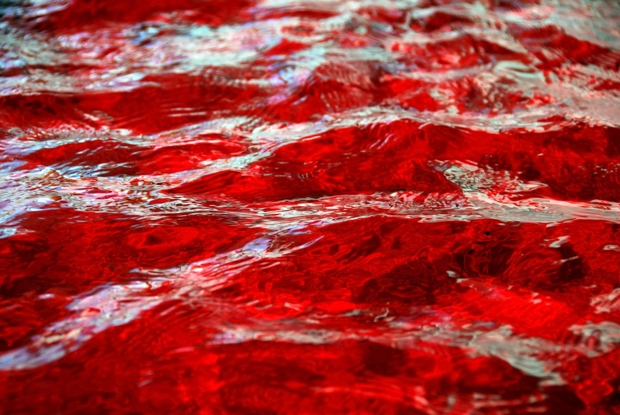 Abel's Blood Cries Out