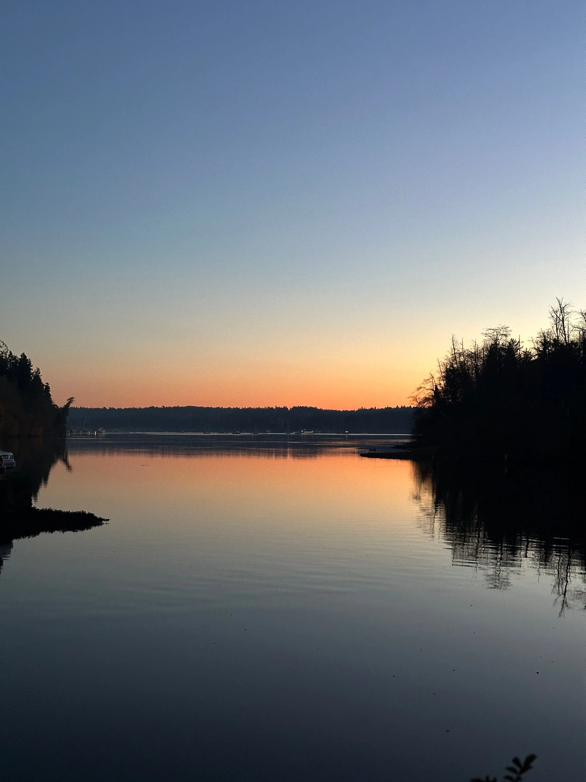 What is Systemic Racism?  -  Gabriela Ituarte