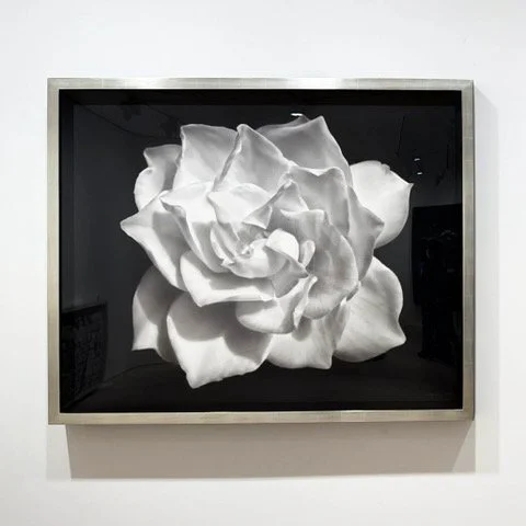 Robert Longo artwork from "Angels on the Maelstrom"