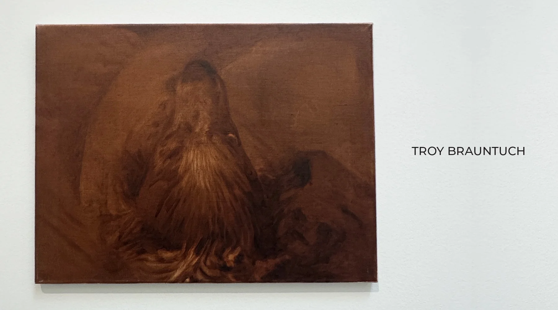 Troy Brauntuch