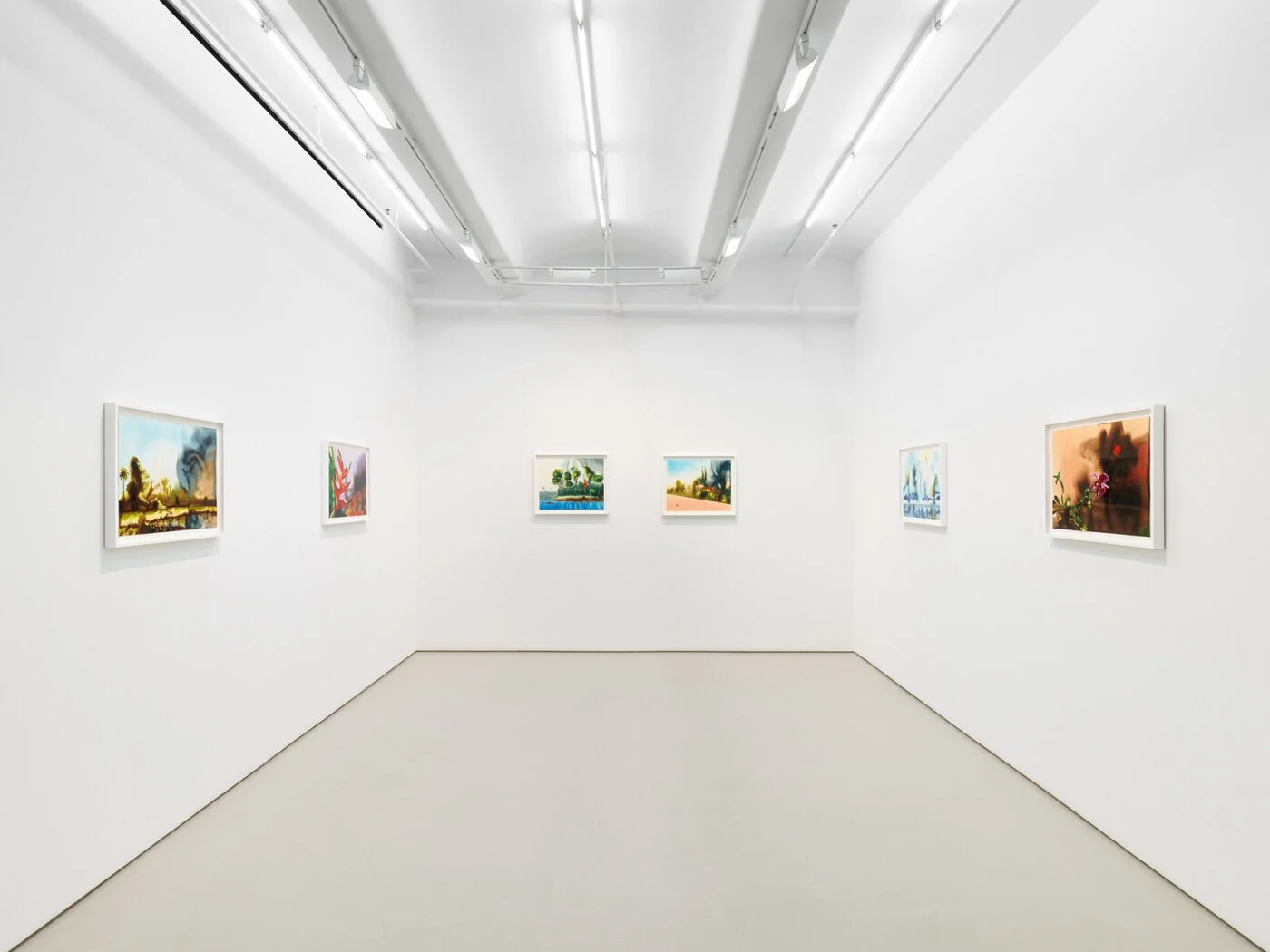 ALEXIS ROCKMAN:  FEEDBACK LOOP