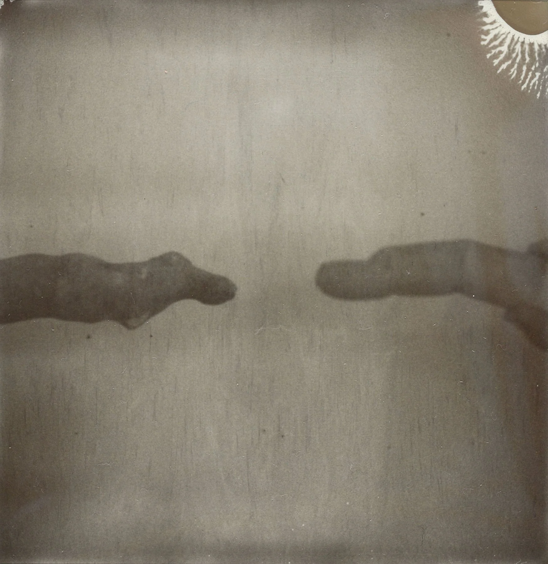 TACITA DEAN: TRIAL OF THE FINGER