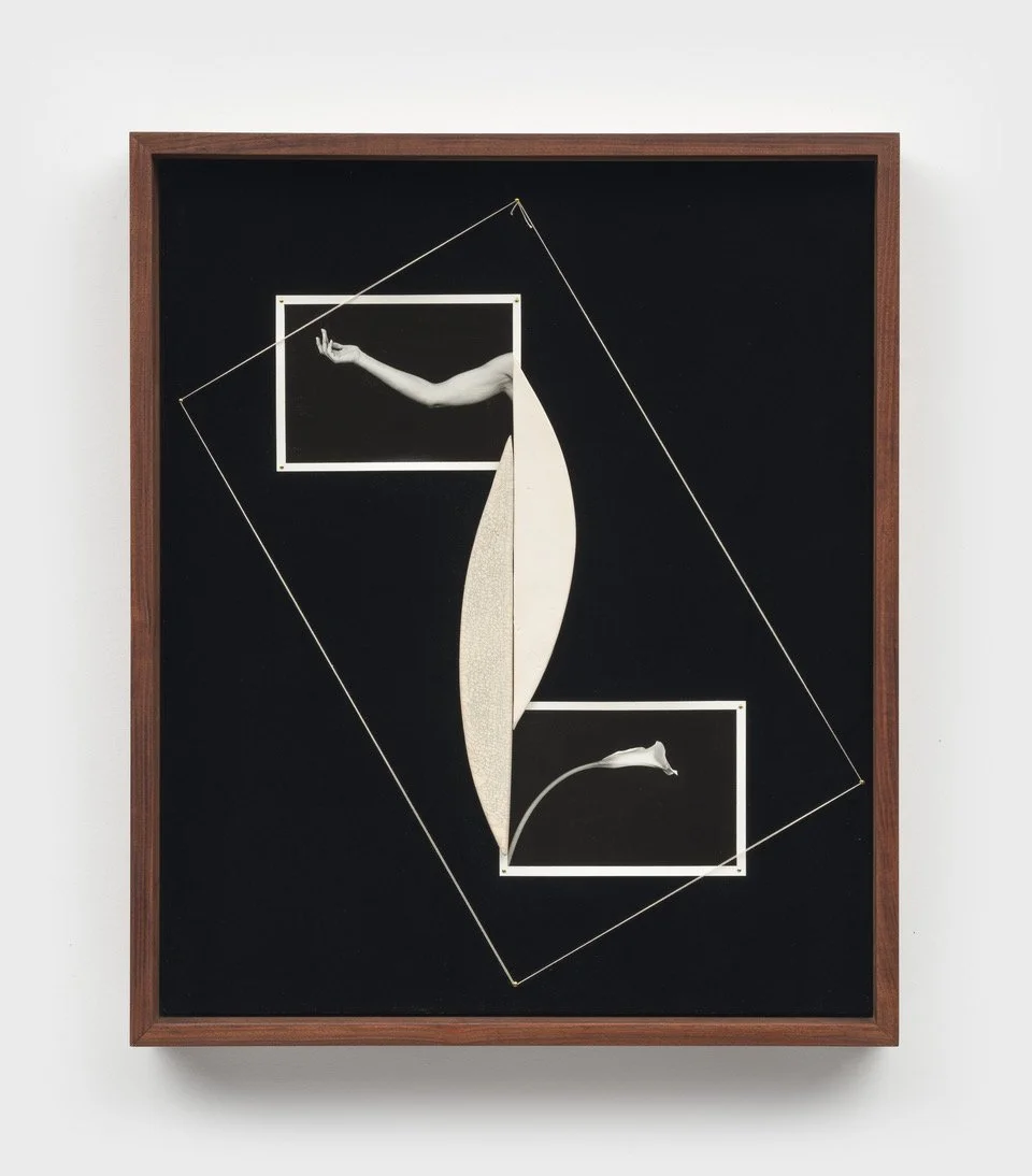 BECOMING: SHEREE HOVSEPIAN