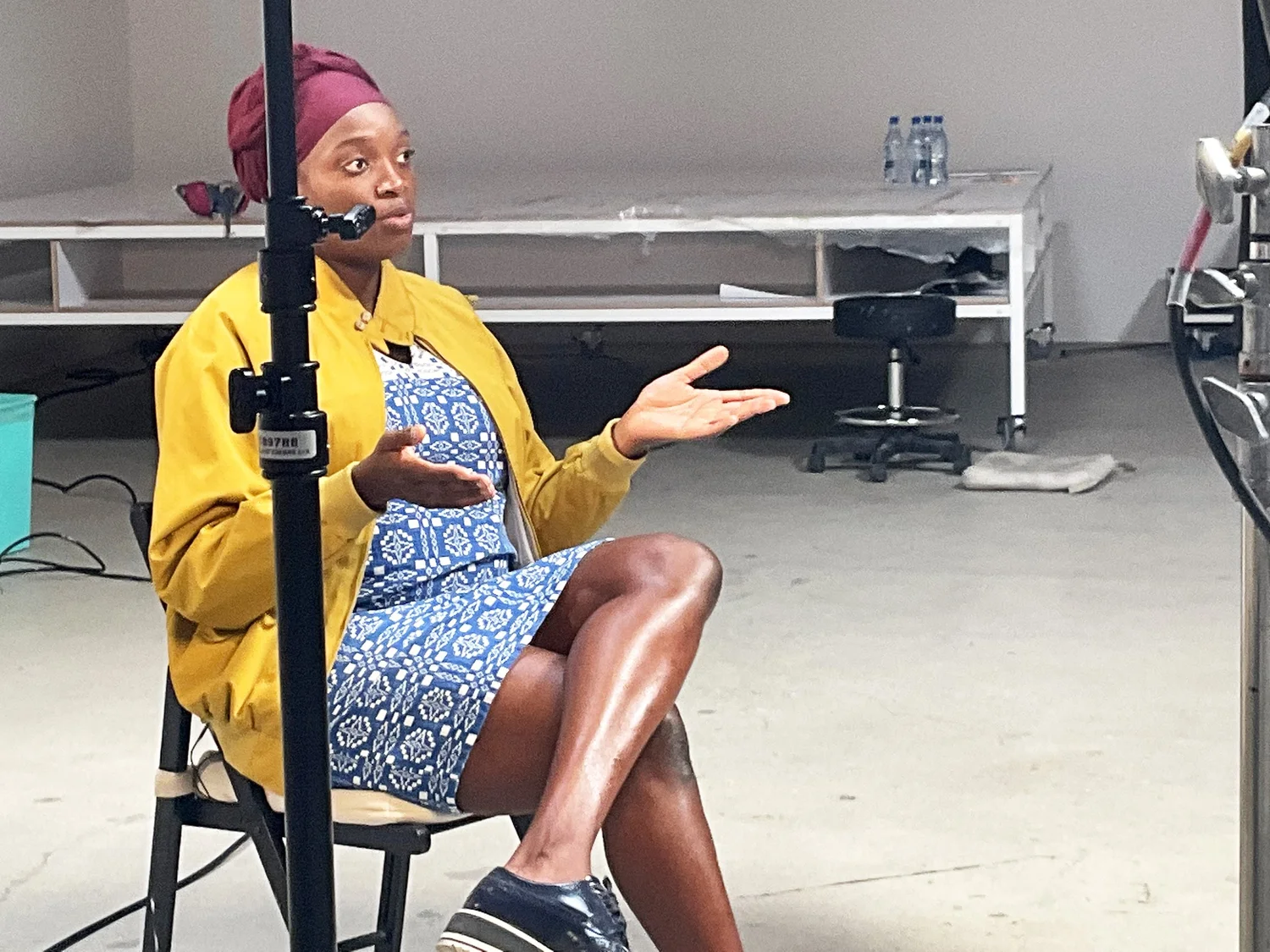 Njideka Akunyili Crosby — The Artist Profile Archive