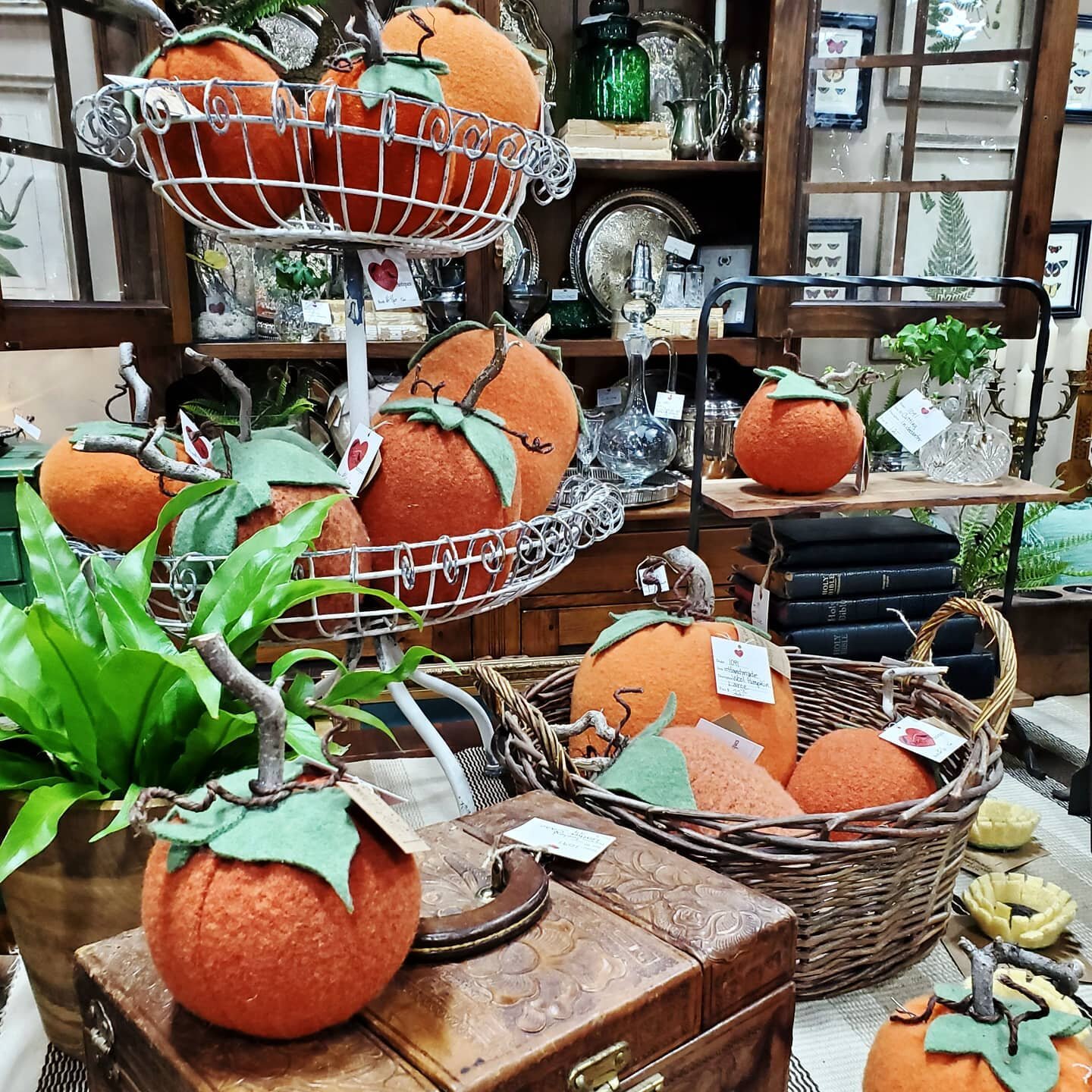 The Old Crows family is thankful beyond measure to everyone who came out to see us this Labor Day Weekend! And now that it's done...we can post pumpkins, right!? 🎃 It sure is feeling like fall out there today!

#fall #falldecor #fallinColorado #pump