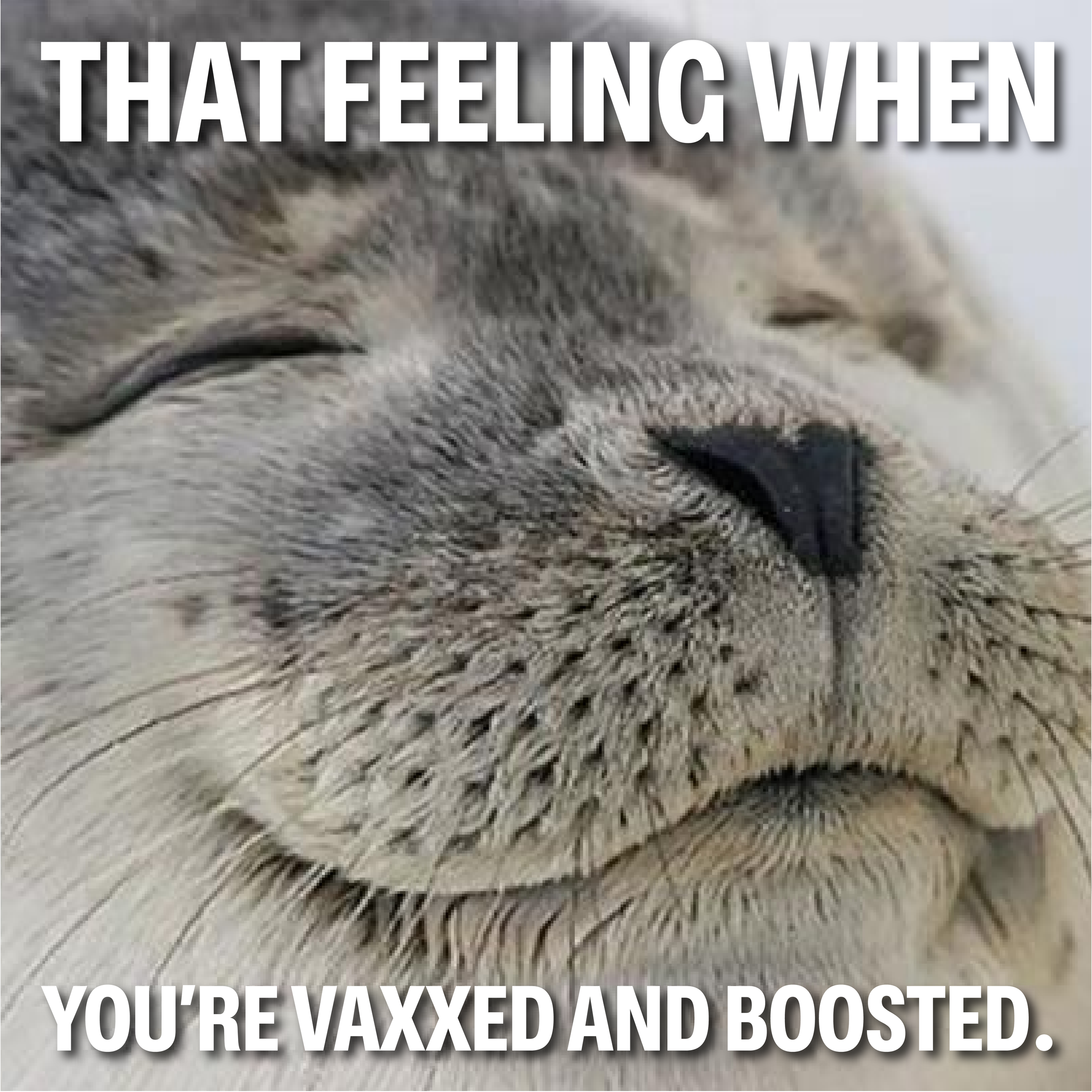 4_18_Meme_TFW_Vaxxed.png