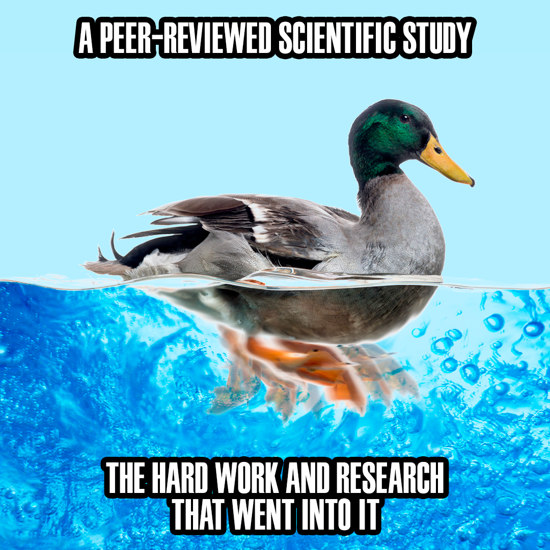 3_21_Meme_Duck_02.png